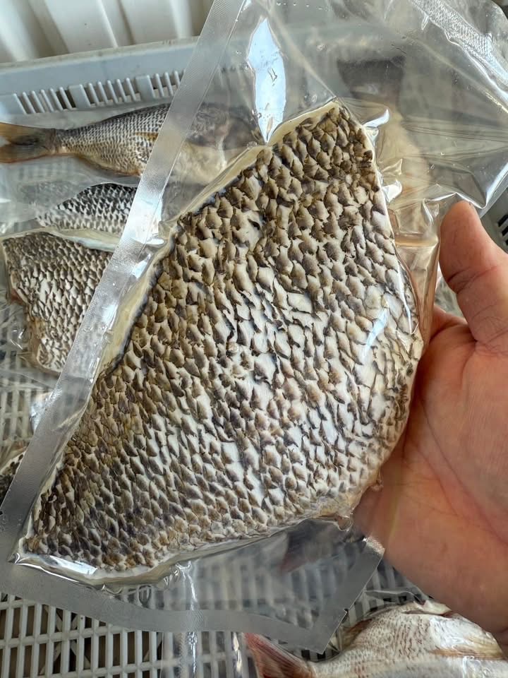 澎湖青嘴龍占魚排260-340g