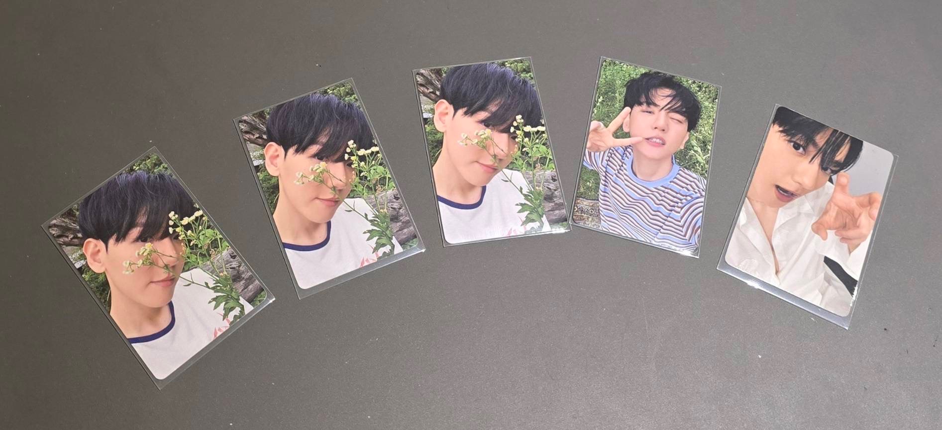 Bolo4專卡（有瑕卡）