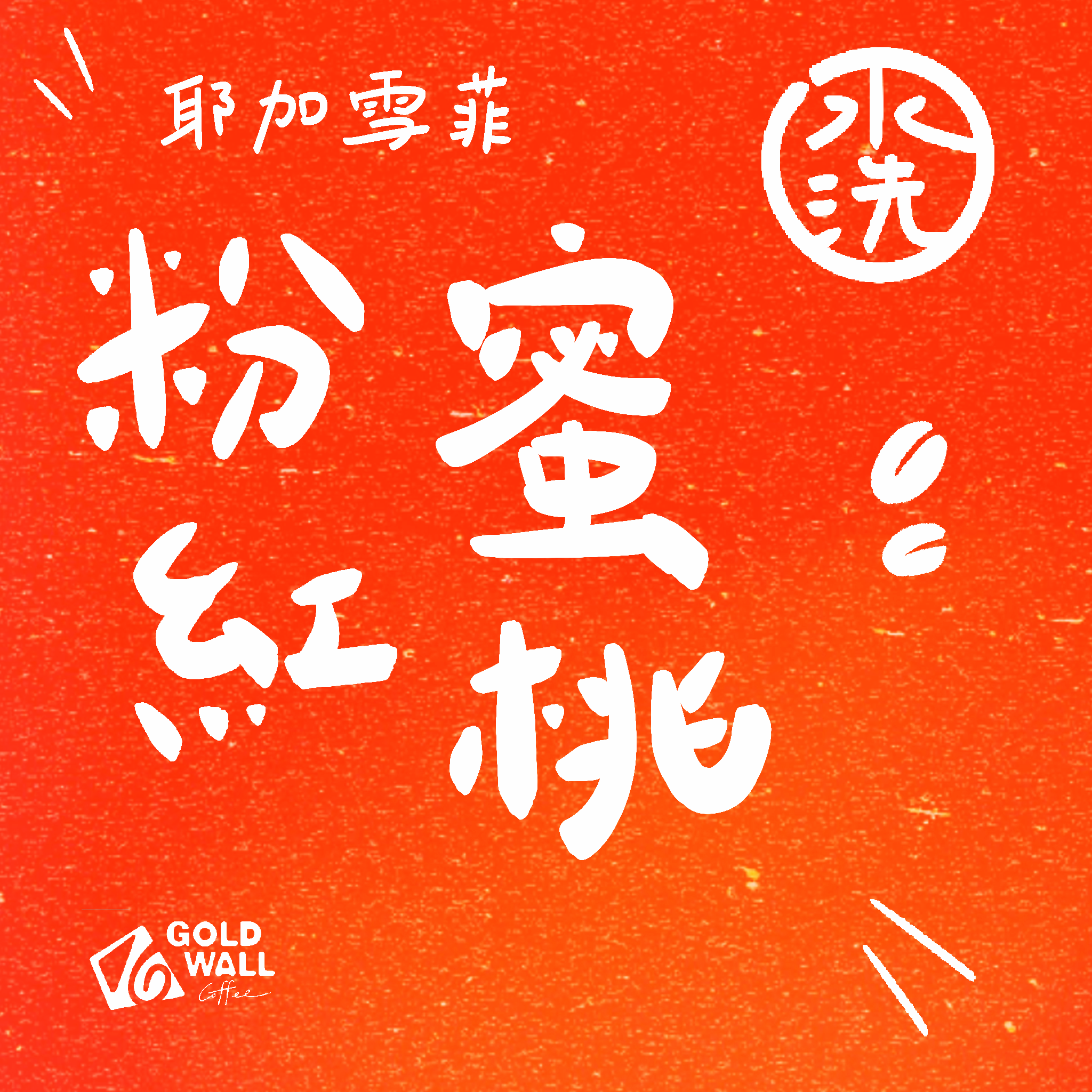 耶加雪菲粉紅蜜桃 水洗 濾掛咖啡10入 咖啡豆 咖啡粉