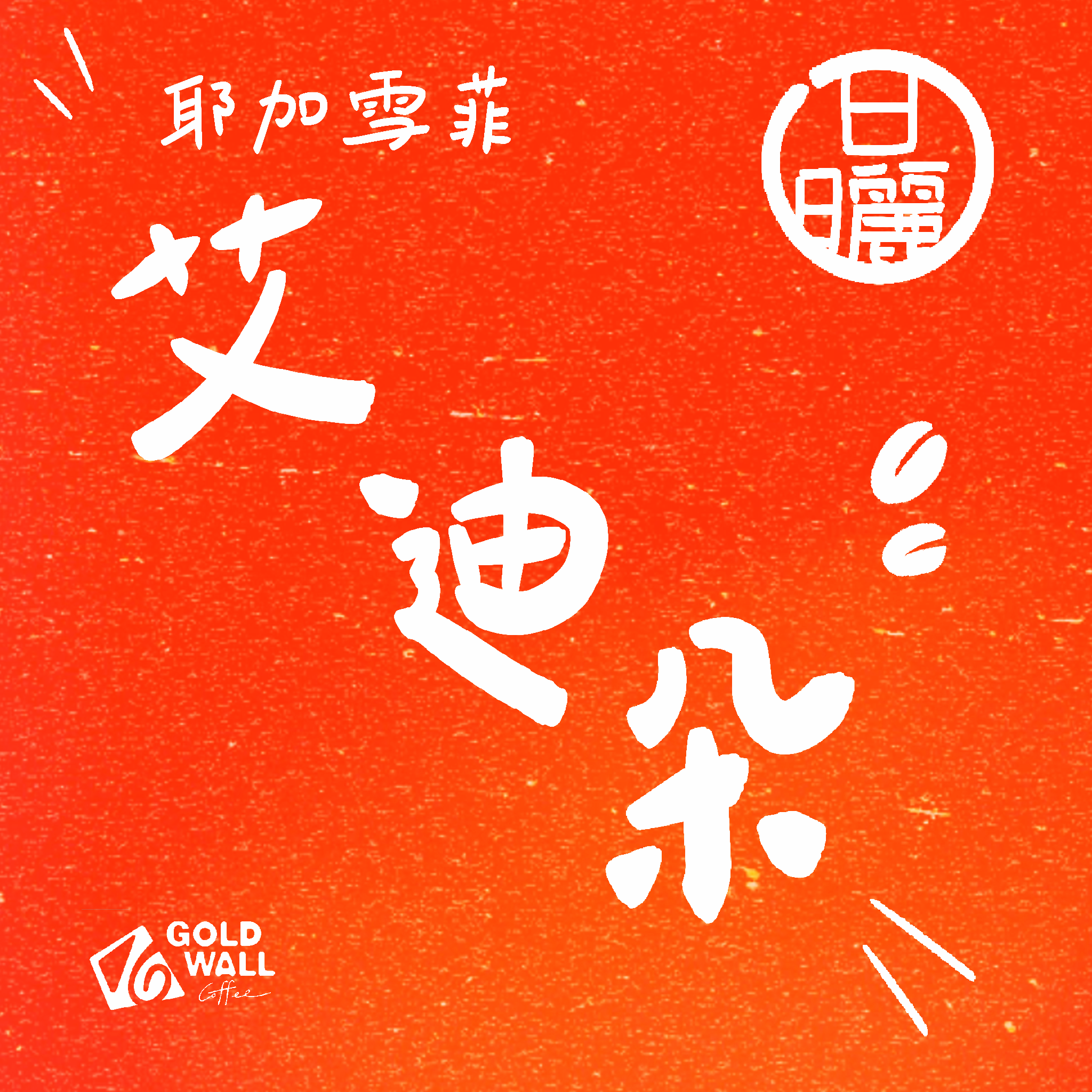 耶加雪菲艾迪朵 日曬 濾掛咖啡10入 咖啡豆 咖啡粉