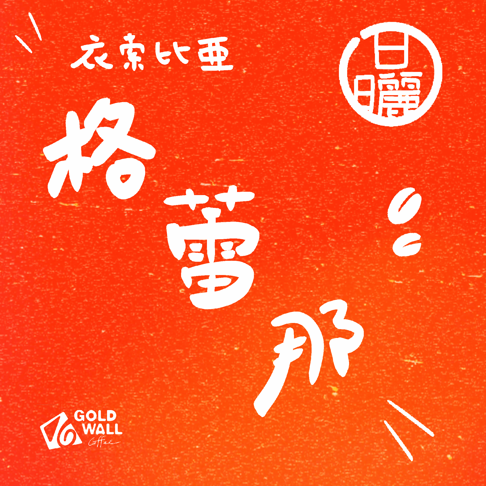 衣索比亞格蕾那藝伎 日曬 濾掛咖啡10入 咖啡豆 咖啡粉