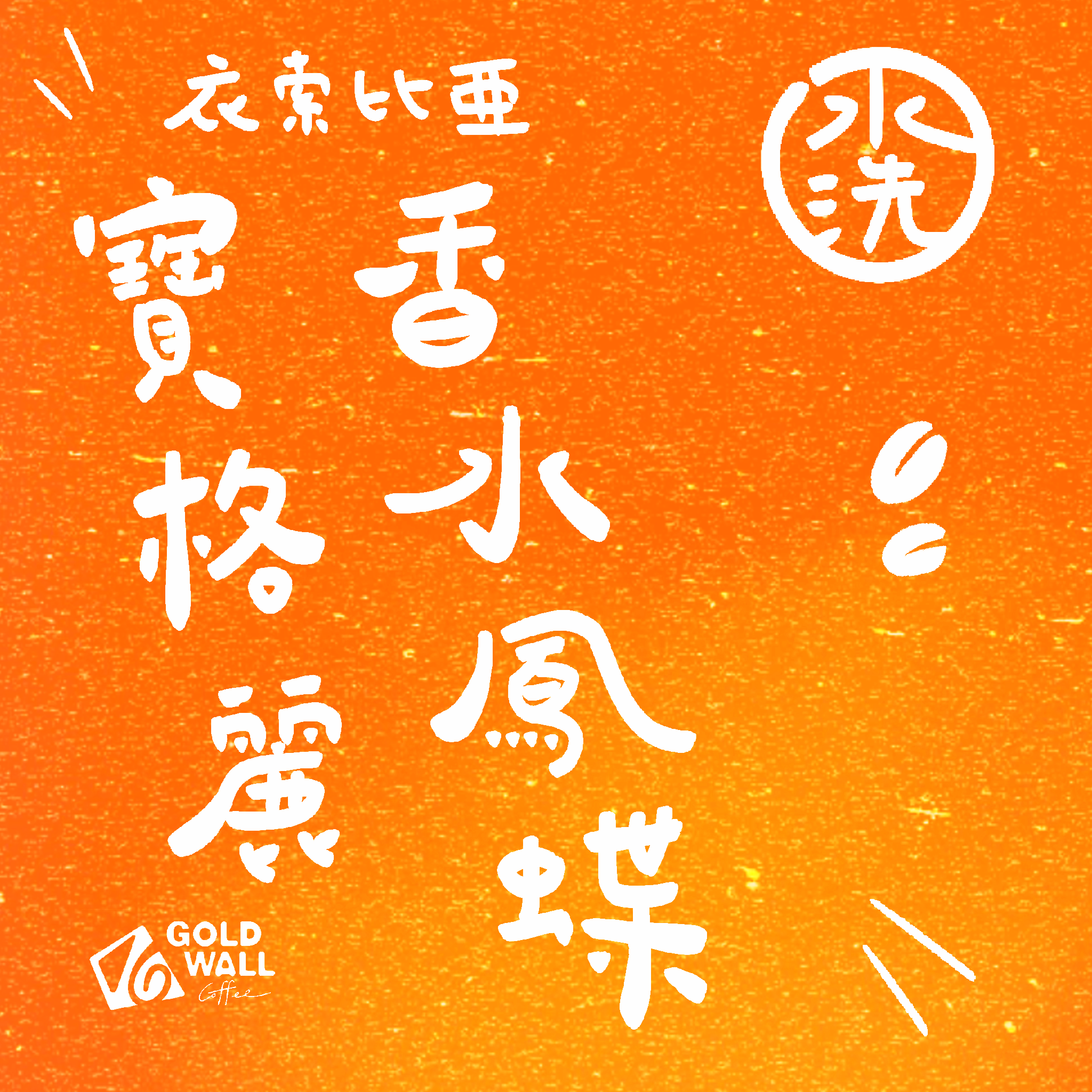 衣索比亞寶格麗香水鳳蝶 水洗 濾掛咖啡10入 咖啡豆 咖啡粉