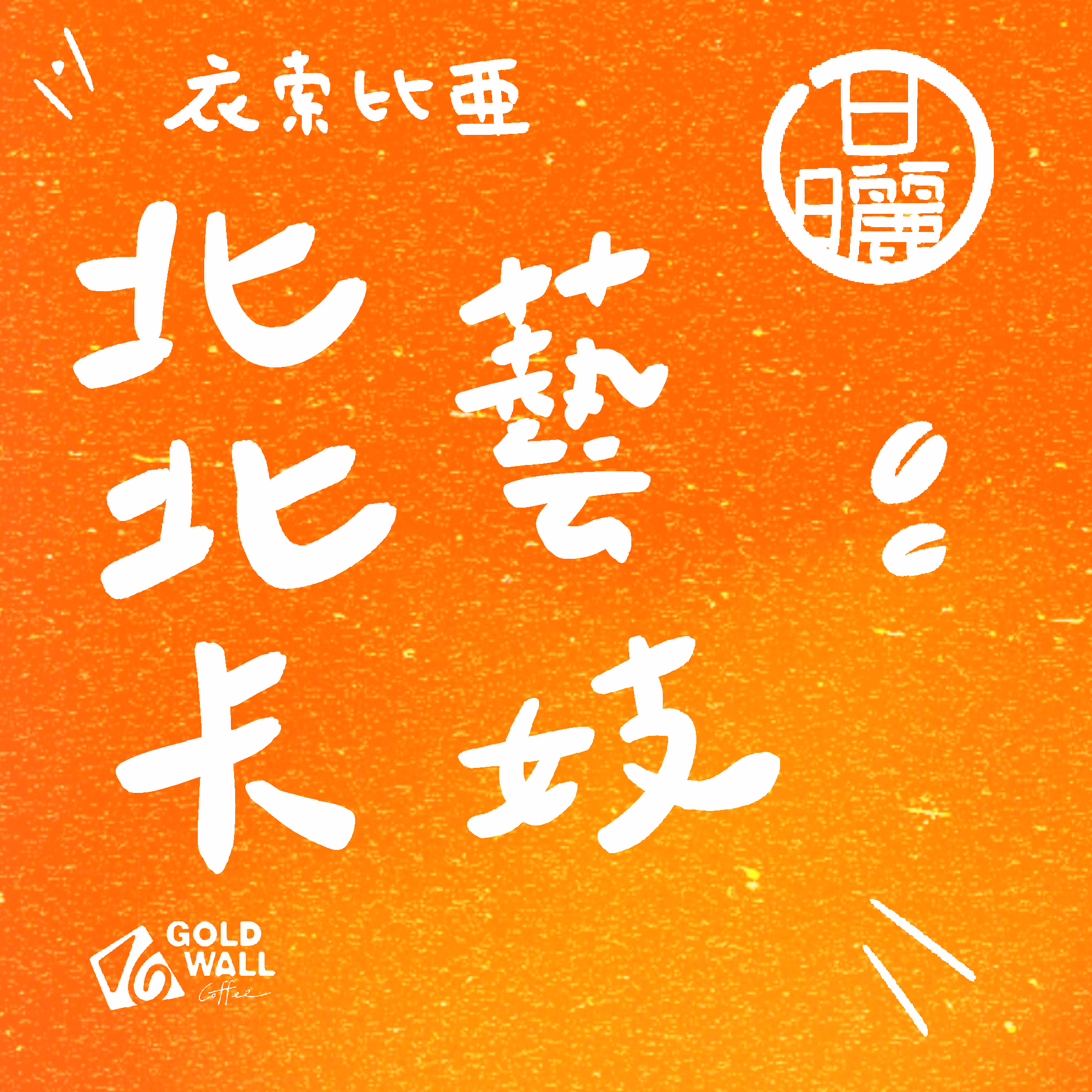 衣索比亞北北卡藝妓 日曬 濾掛咖啡10入 咖啡豆 咖啡粉