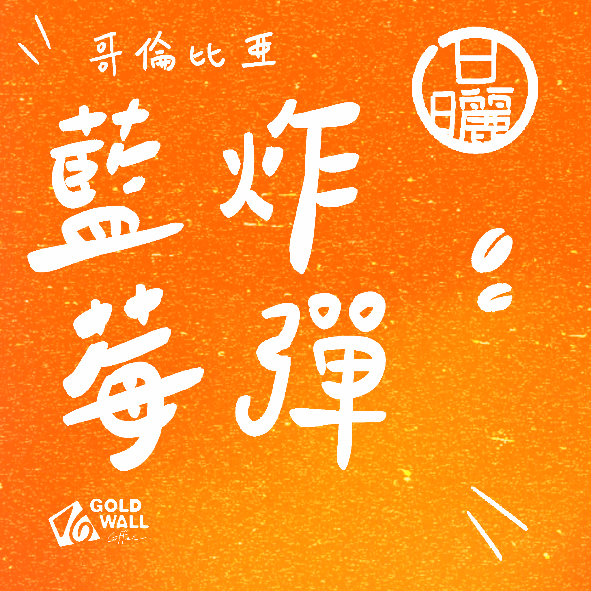 哥倫比亞藍莓炸彈 日曬 濾掛咖啡10入 咖啡豆 咖啡粉