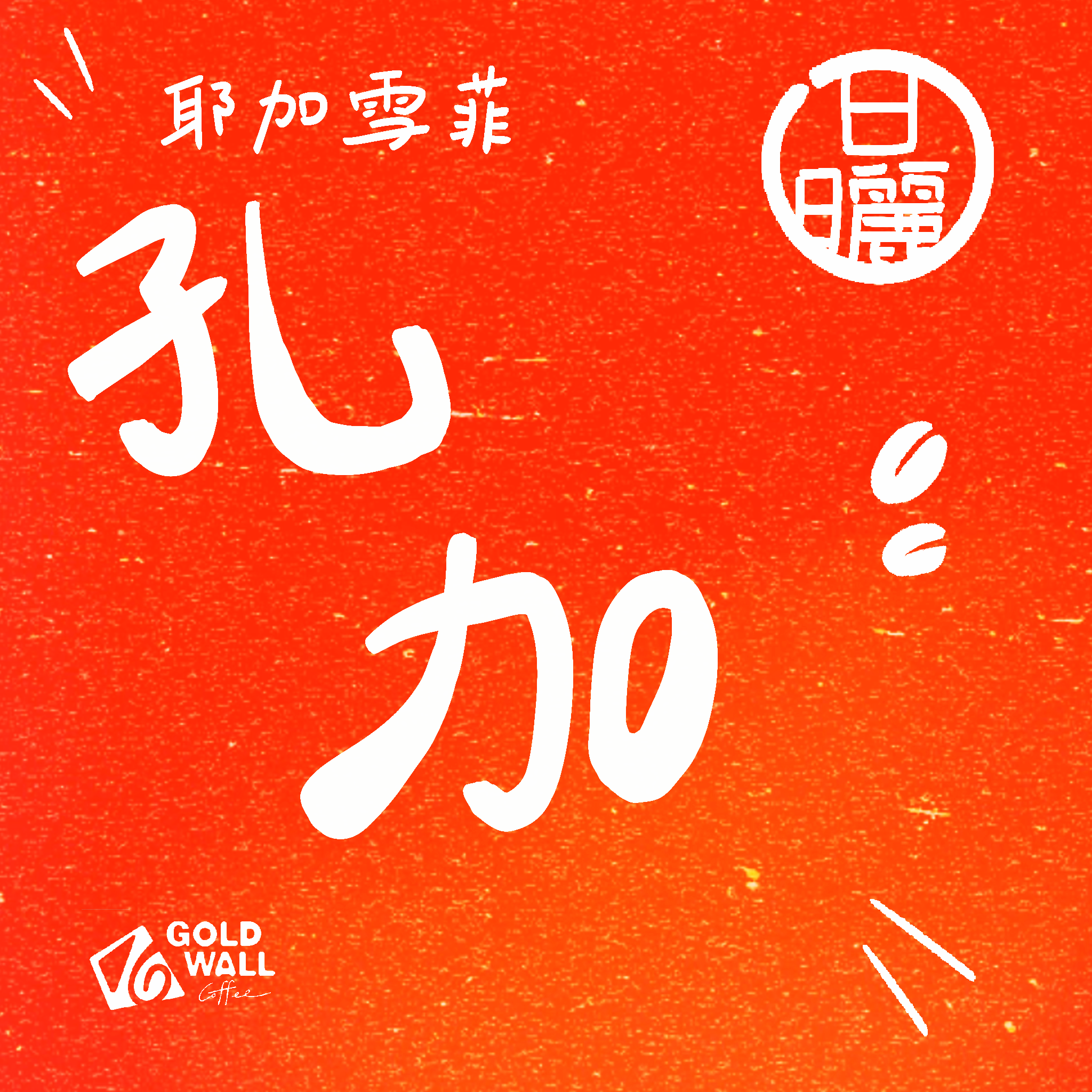 耶加雪菲孔加合作社 日曬 濾掛咖啡10入 咖啡豆 咖啡粉