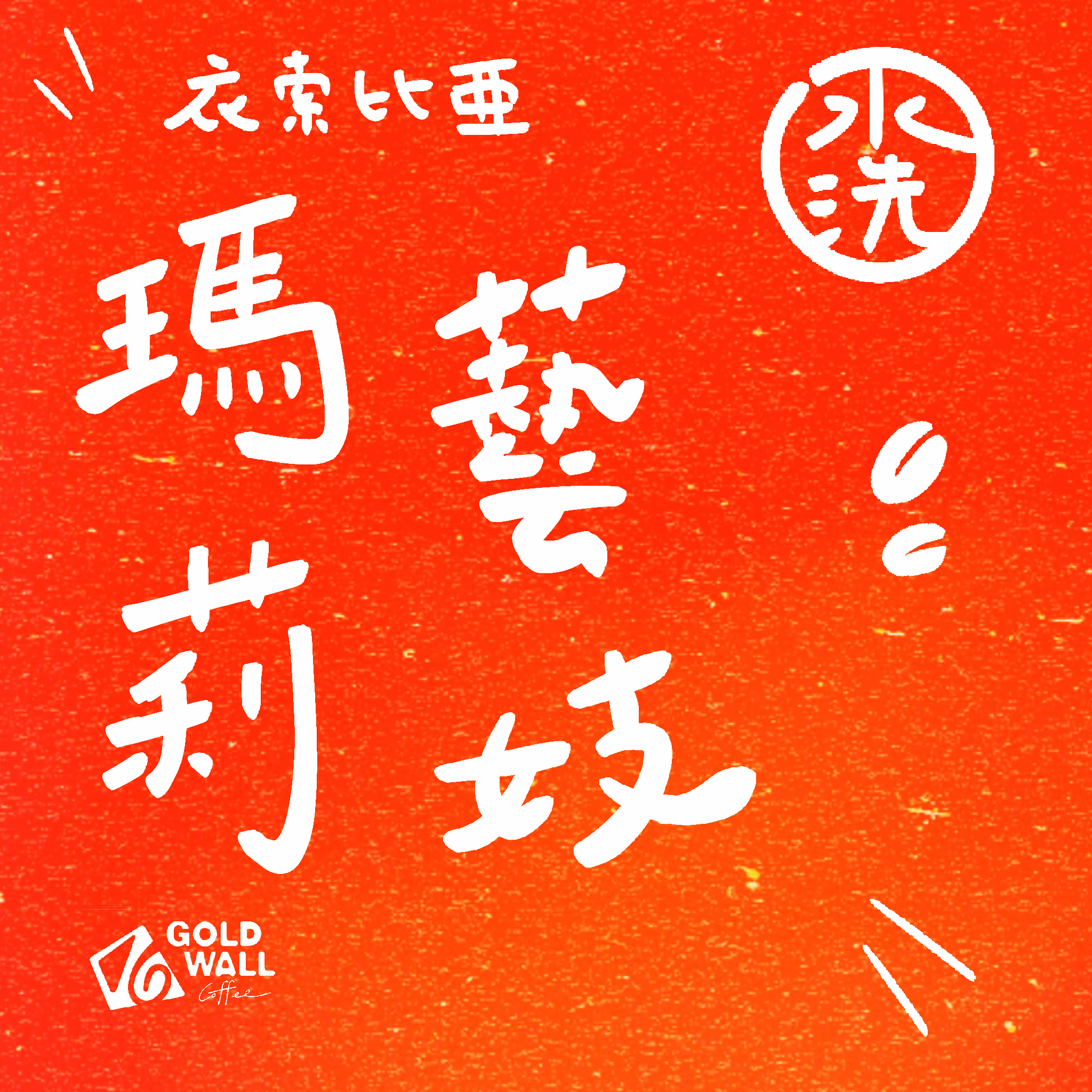 衣索比亞瑪莉藝妓G1 水洗 濾掛咖啡10入 咖啡豆 咖啡粉