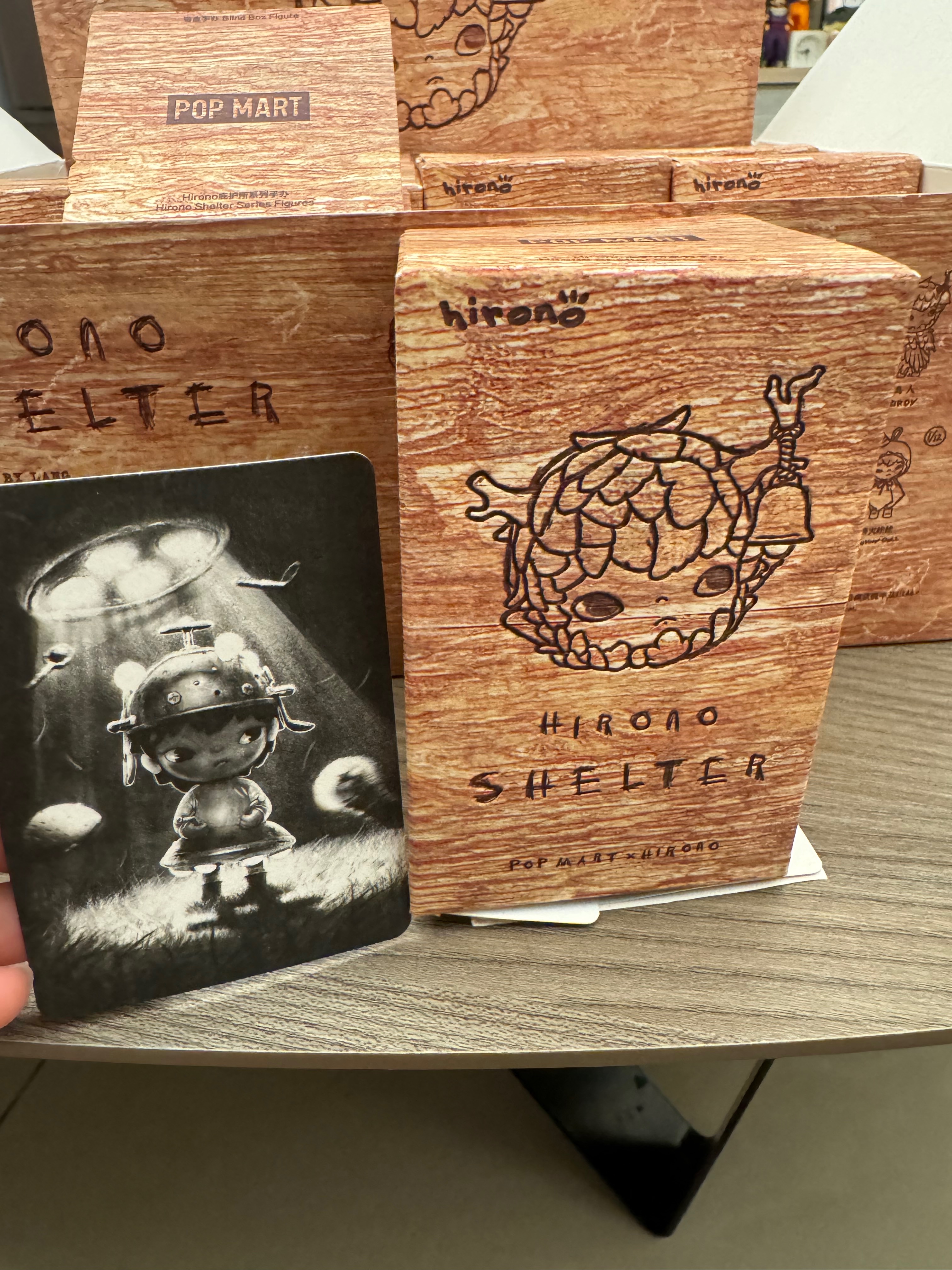 Hirono小野第六代庇護所 拆盒未拆袋