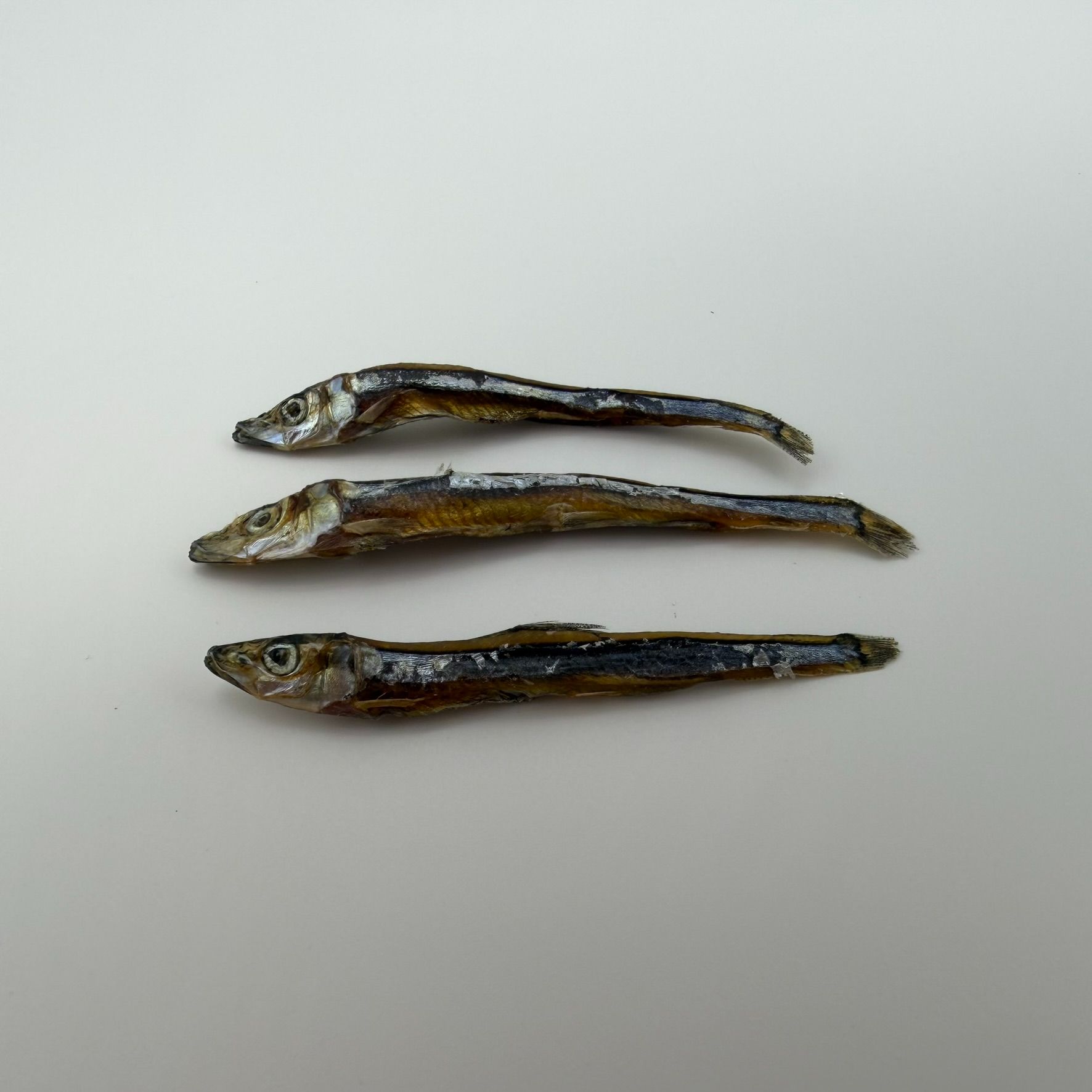 小魚乾