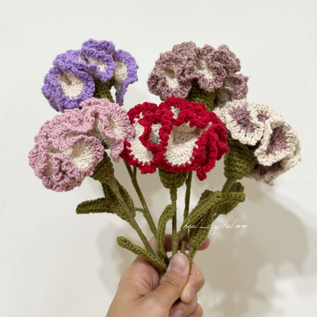 康乃馨 Carnation — 海鹽療癒所