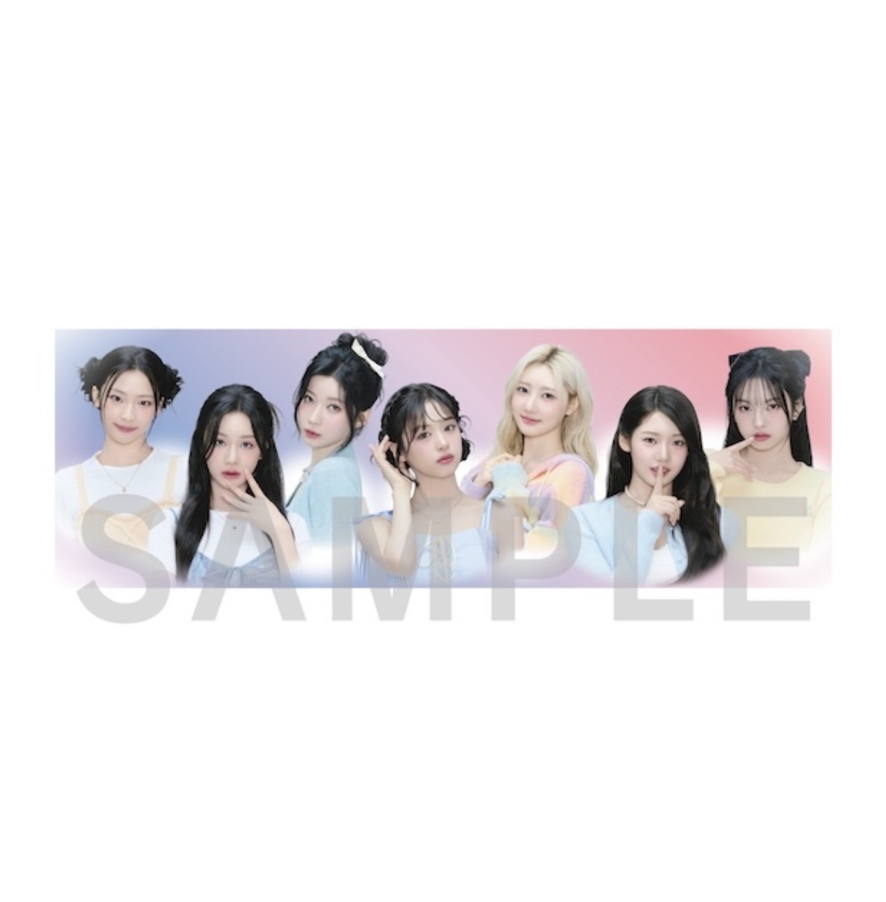 日本會員限定 寶怪團體手幅