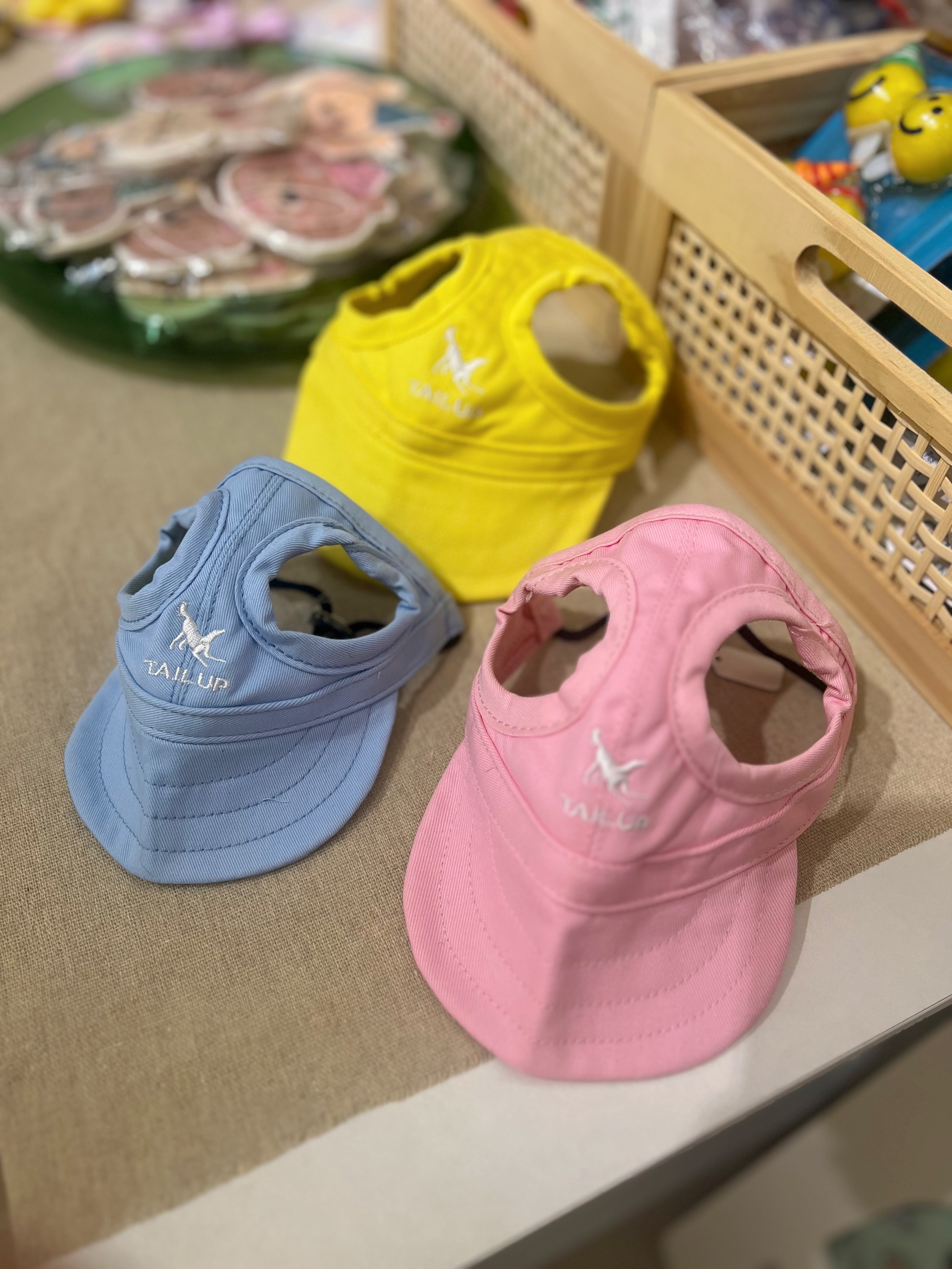 寵物遮陽帽🐶