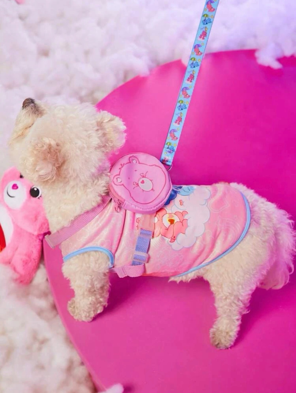 Care Bears寵物肩背帶