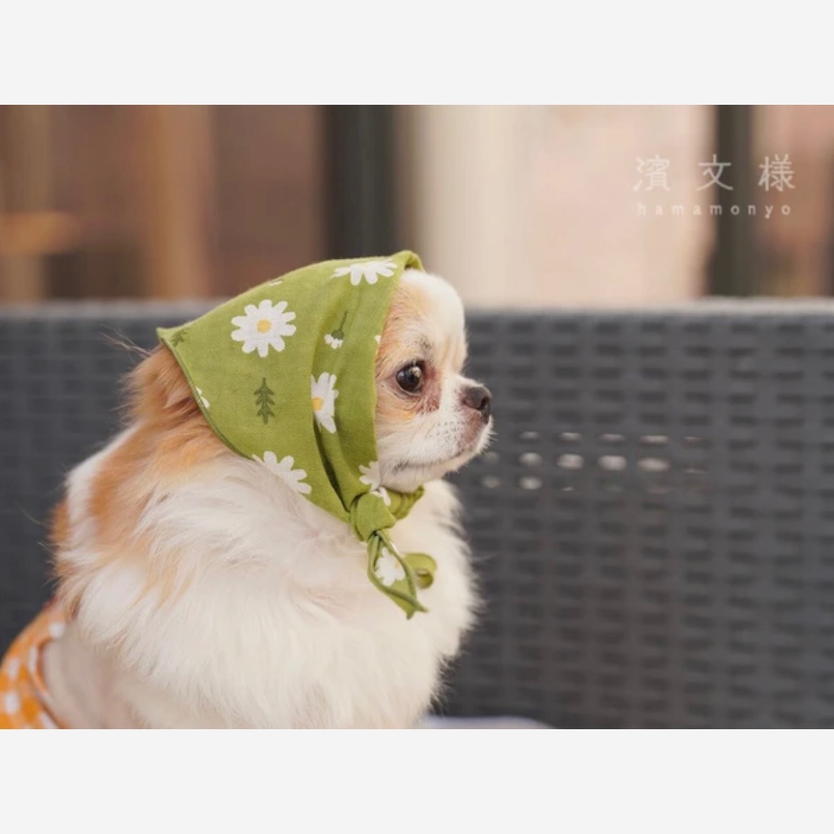 日系品牌寵物三角領巾🌼
