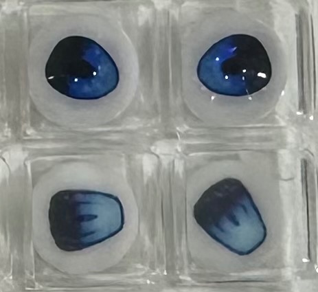 立體樹脂眼 絲絨閃蝶