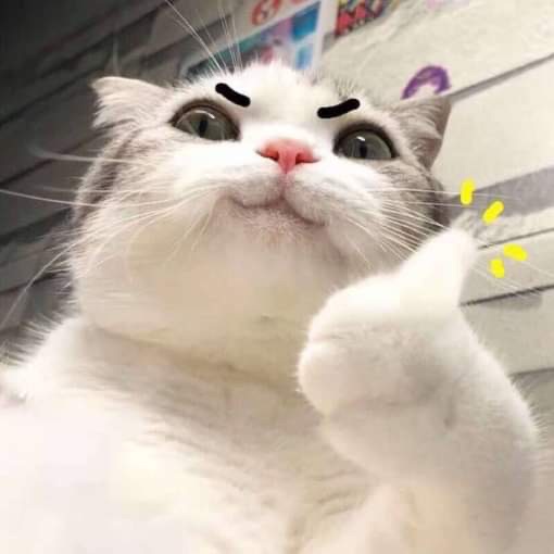 手續