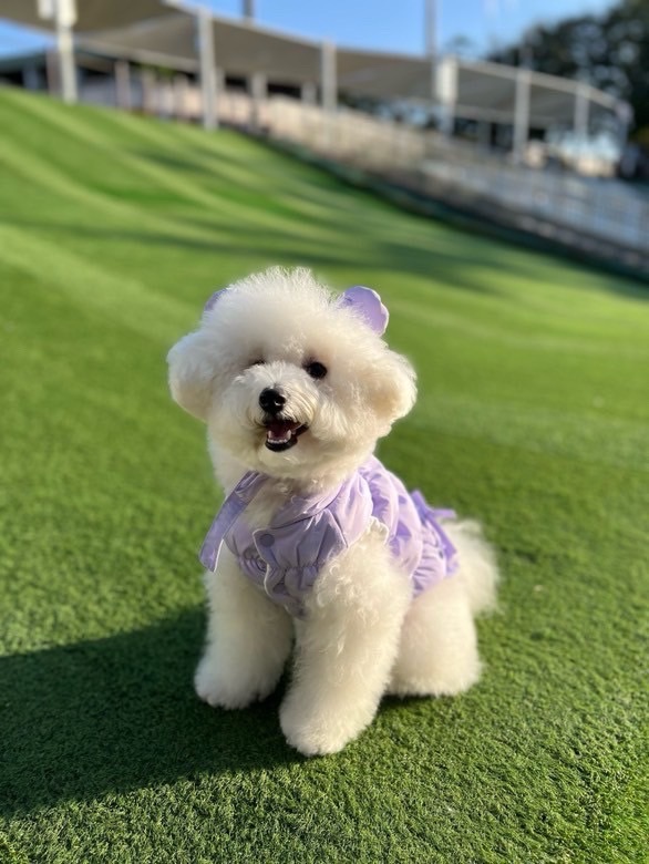 輕羽絨蝴蝶結背心