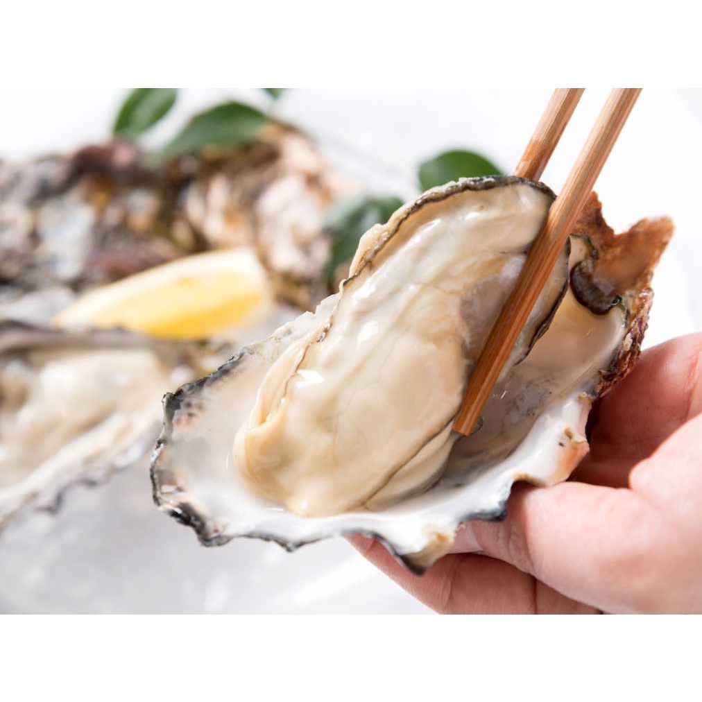 12/6-12/15優惠299日本牛奶生蠔/最高等生食全殼牡蠣