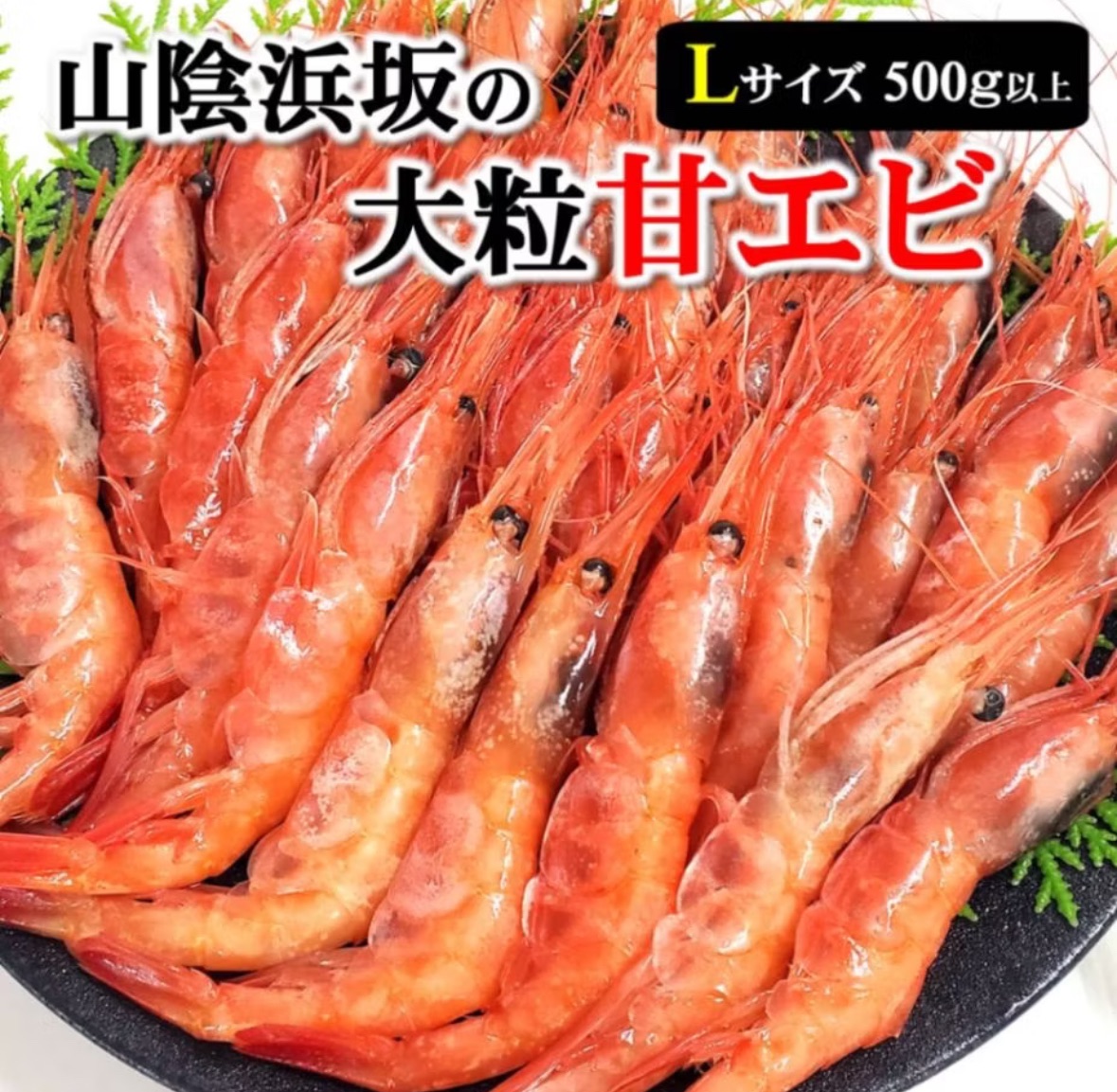 日本JF生食甜蝦L粉紅蝦/兵庫縣/生魚片/刺身