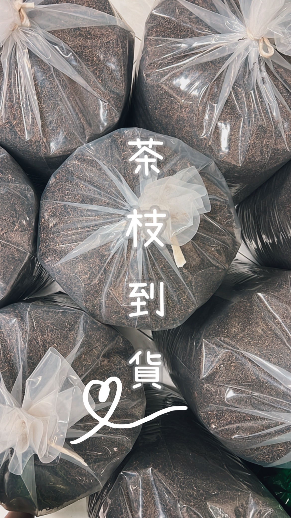 限量少量茶枝