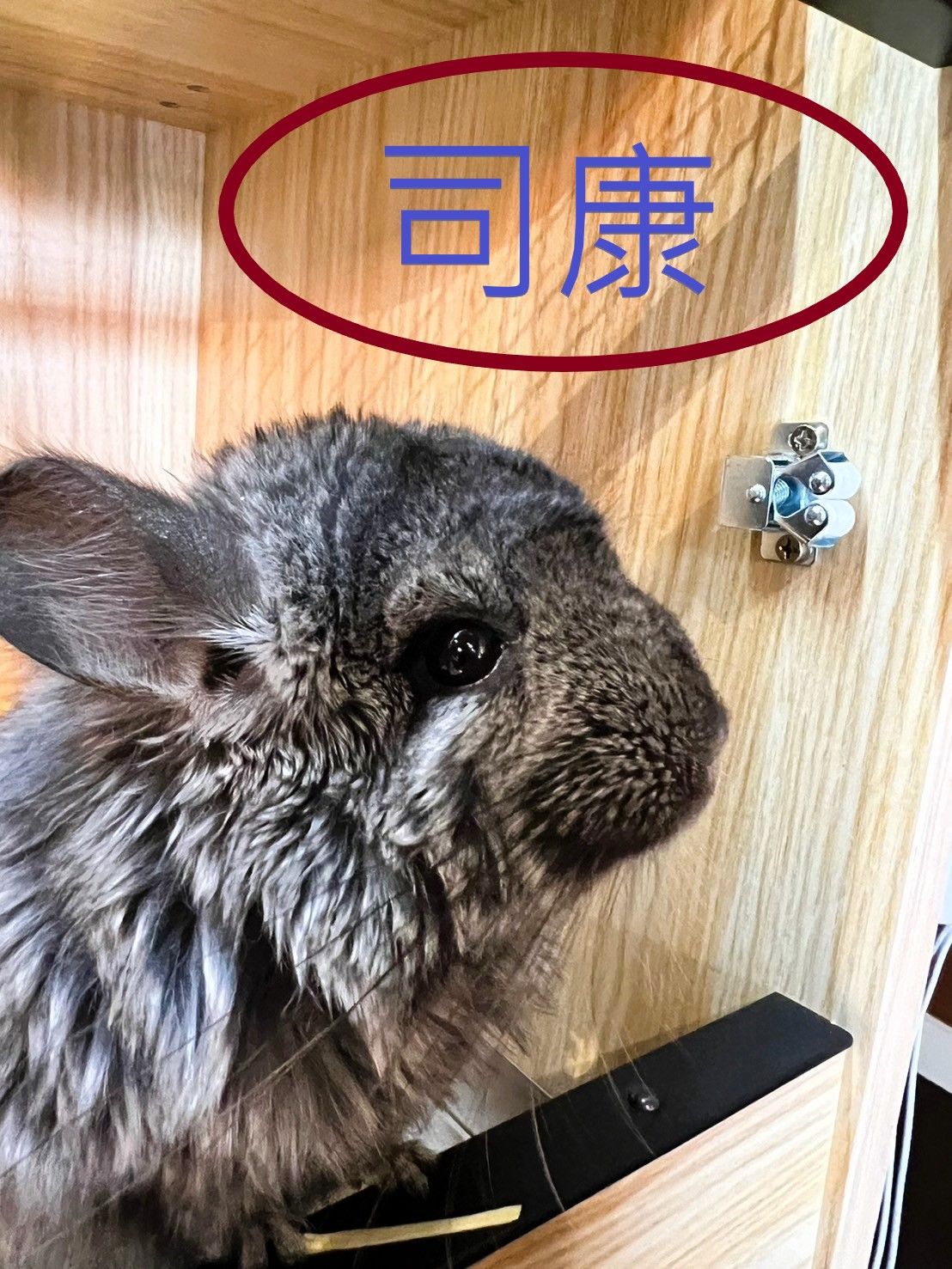 oldboy司康＆軟餅乾