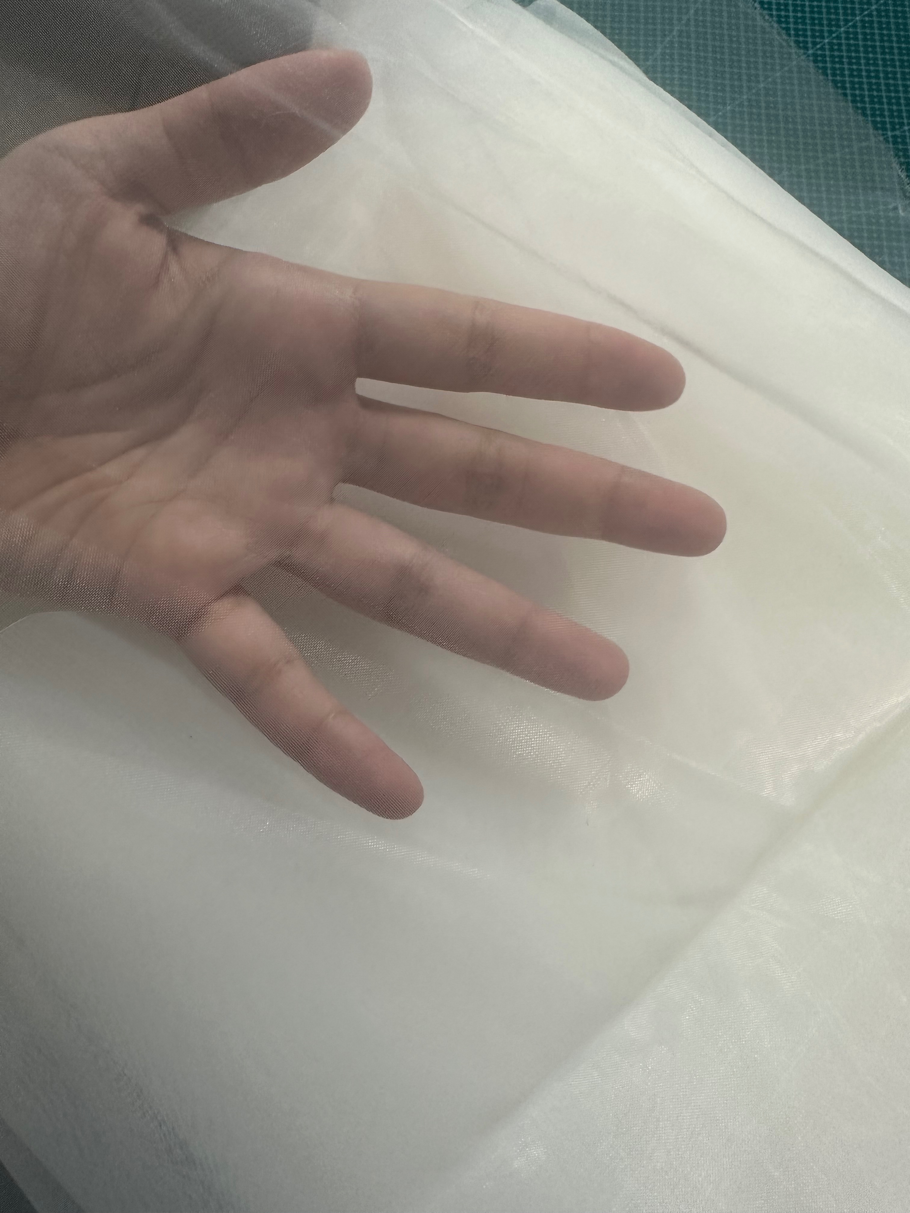 100目防蟲紗網