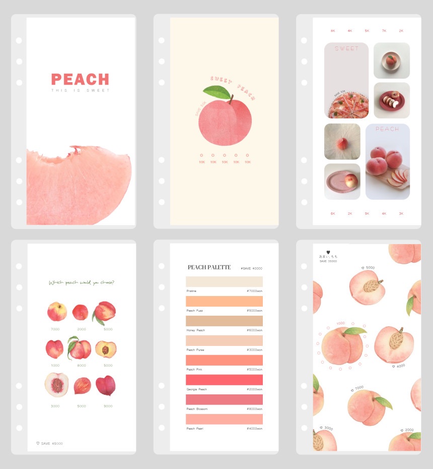 【預購】meow Peaches現金挑戰袋