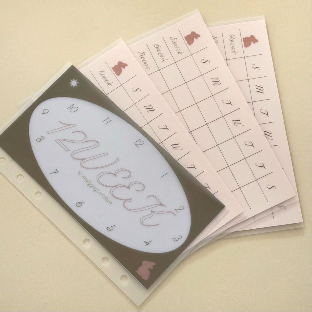 aru letter 12周紀錄袋 預購