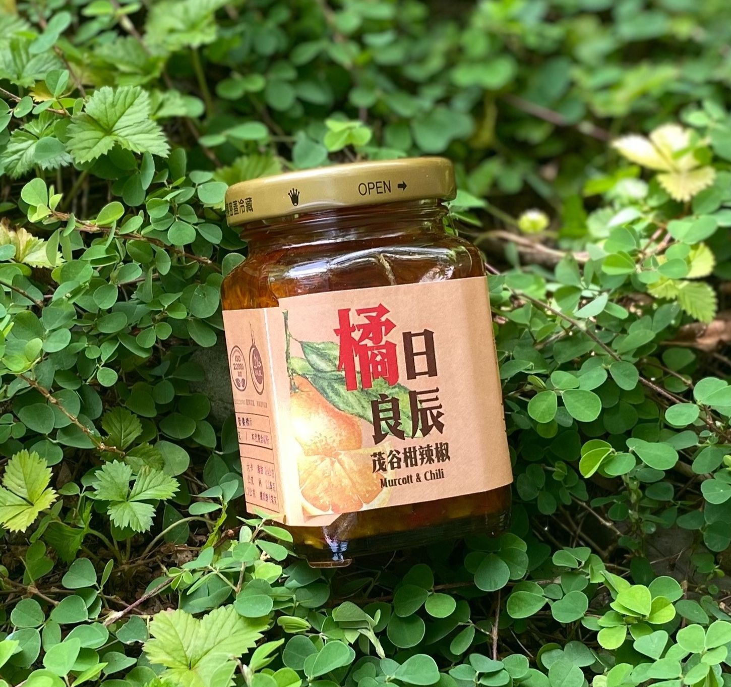 茂谷柑辣椒醬  純素.中辣