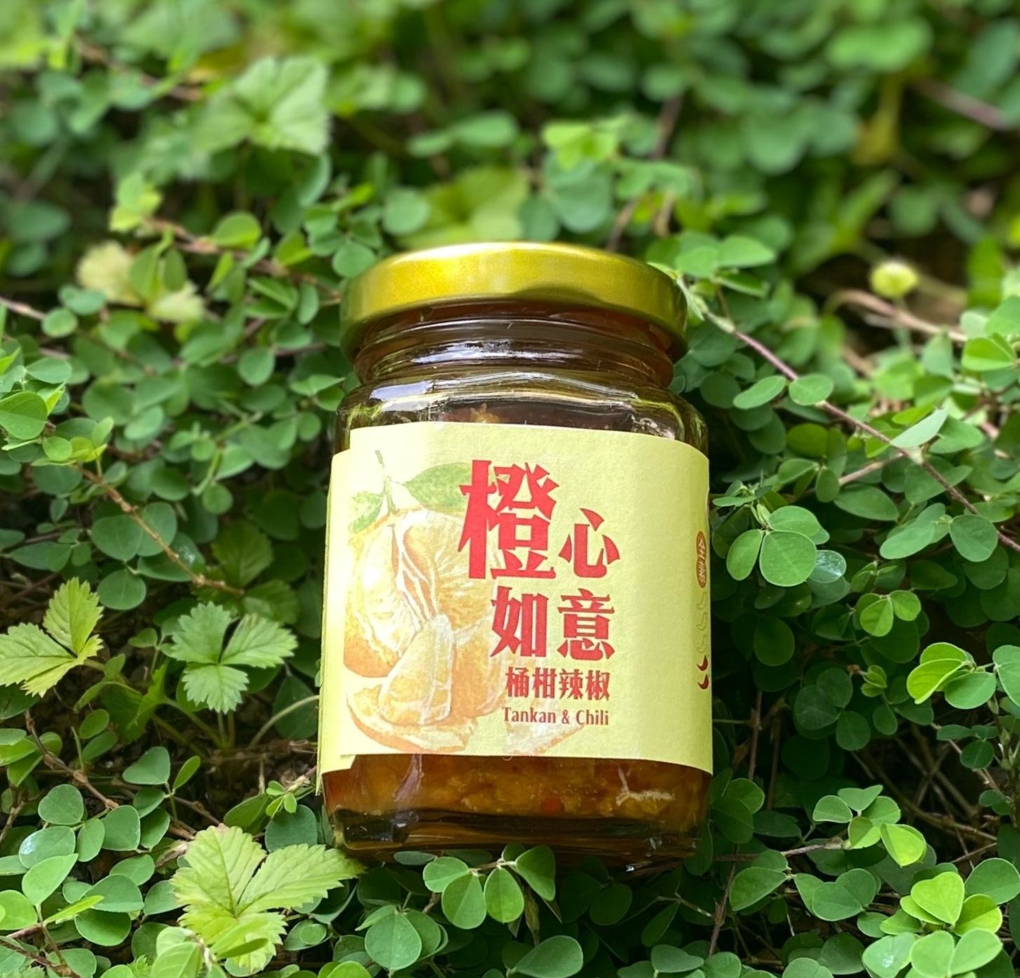 橙心如意 桶柑辣椒醬 純素.小辣
