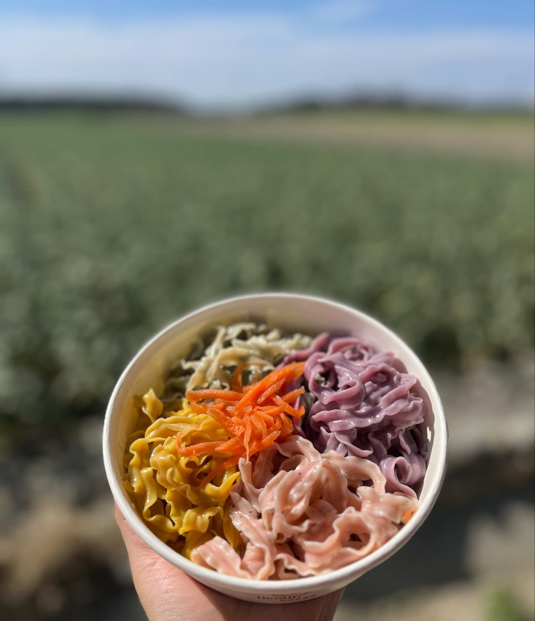 【低鈉.純素】超Q純天然蕾絲麵（火龍果.紫薯.藍綠藻.薑黃） 單包80g