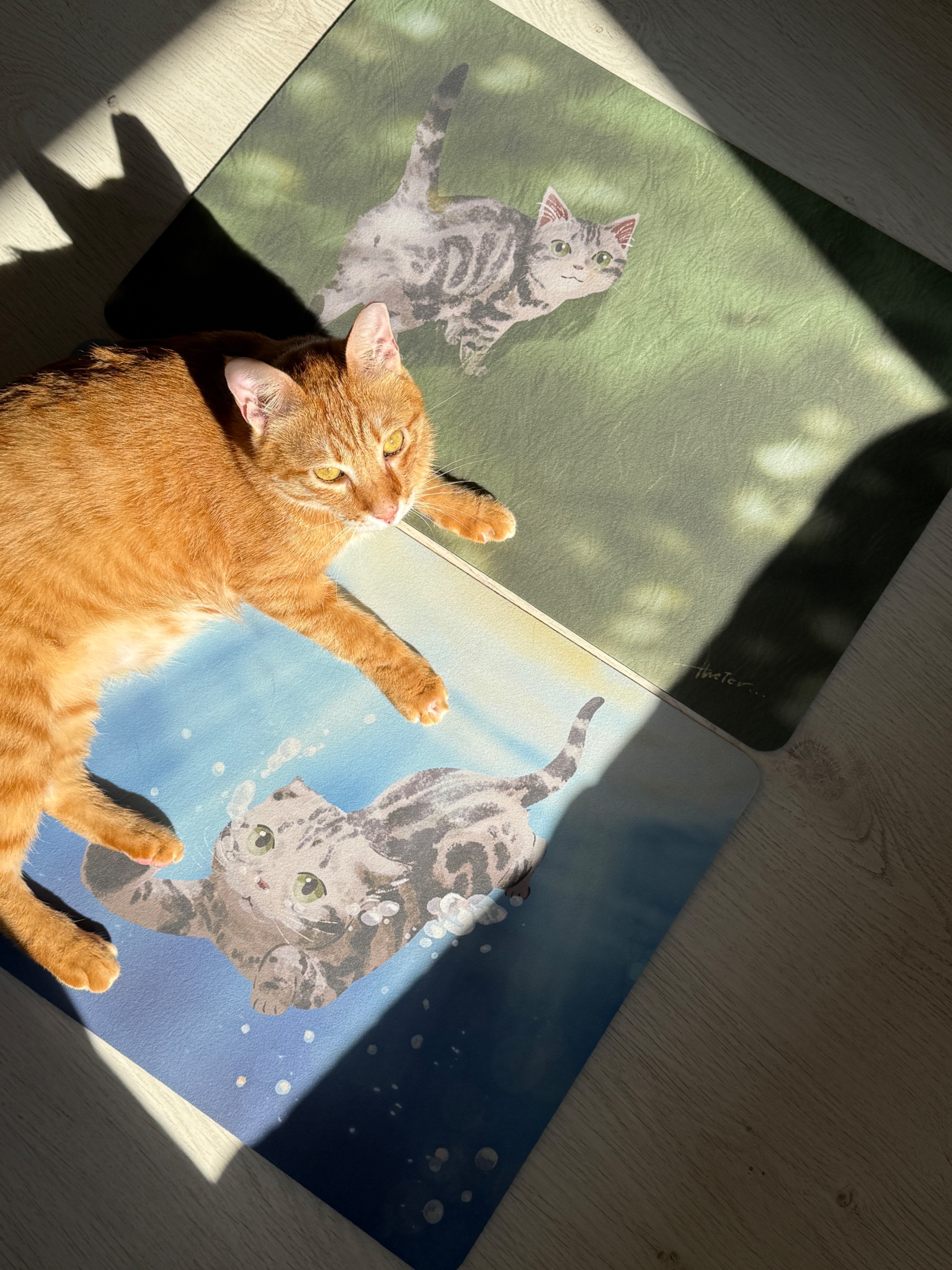 插畫硅藻土軟墊