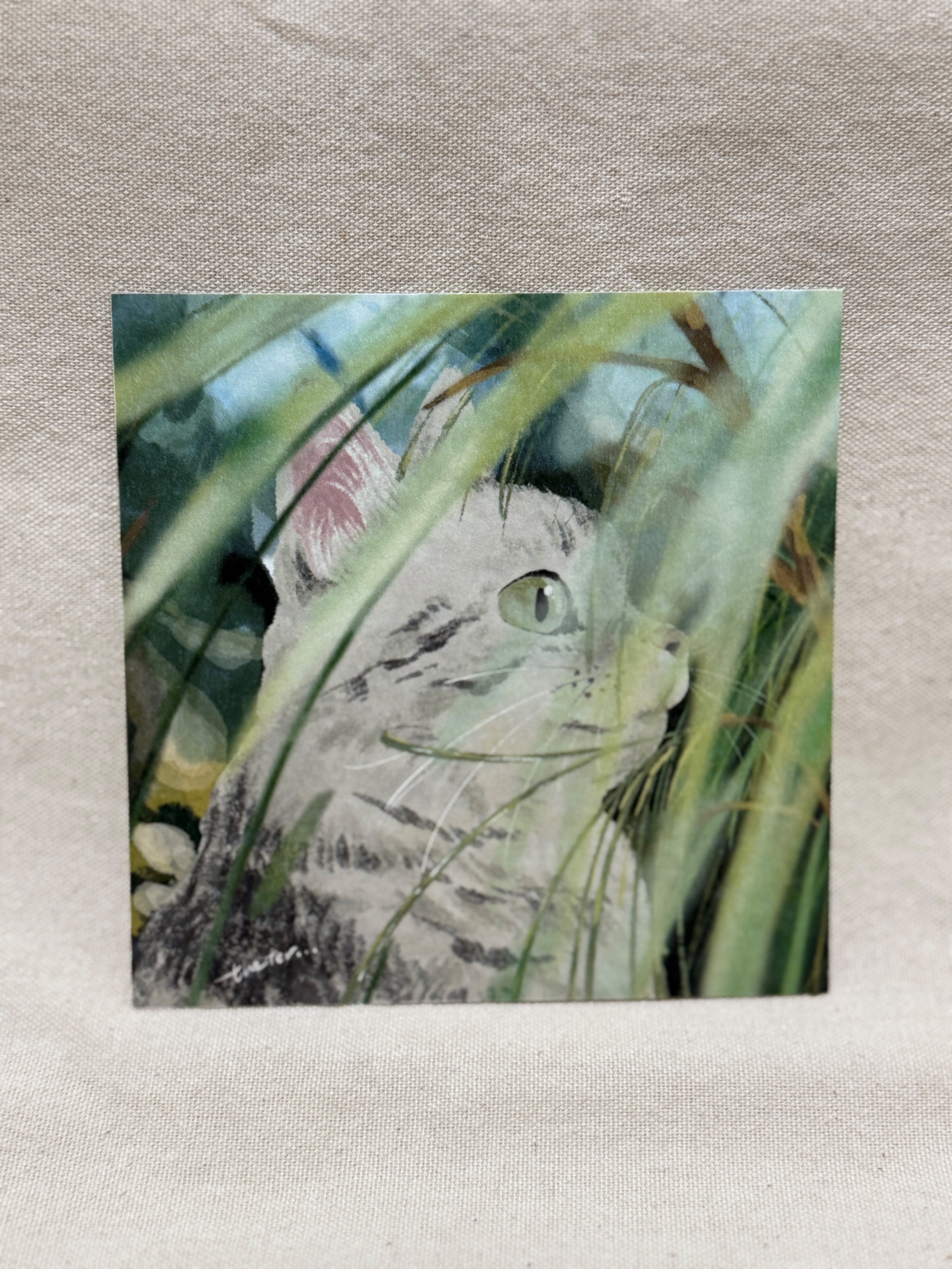 插畫方形明信片