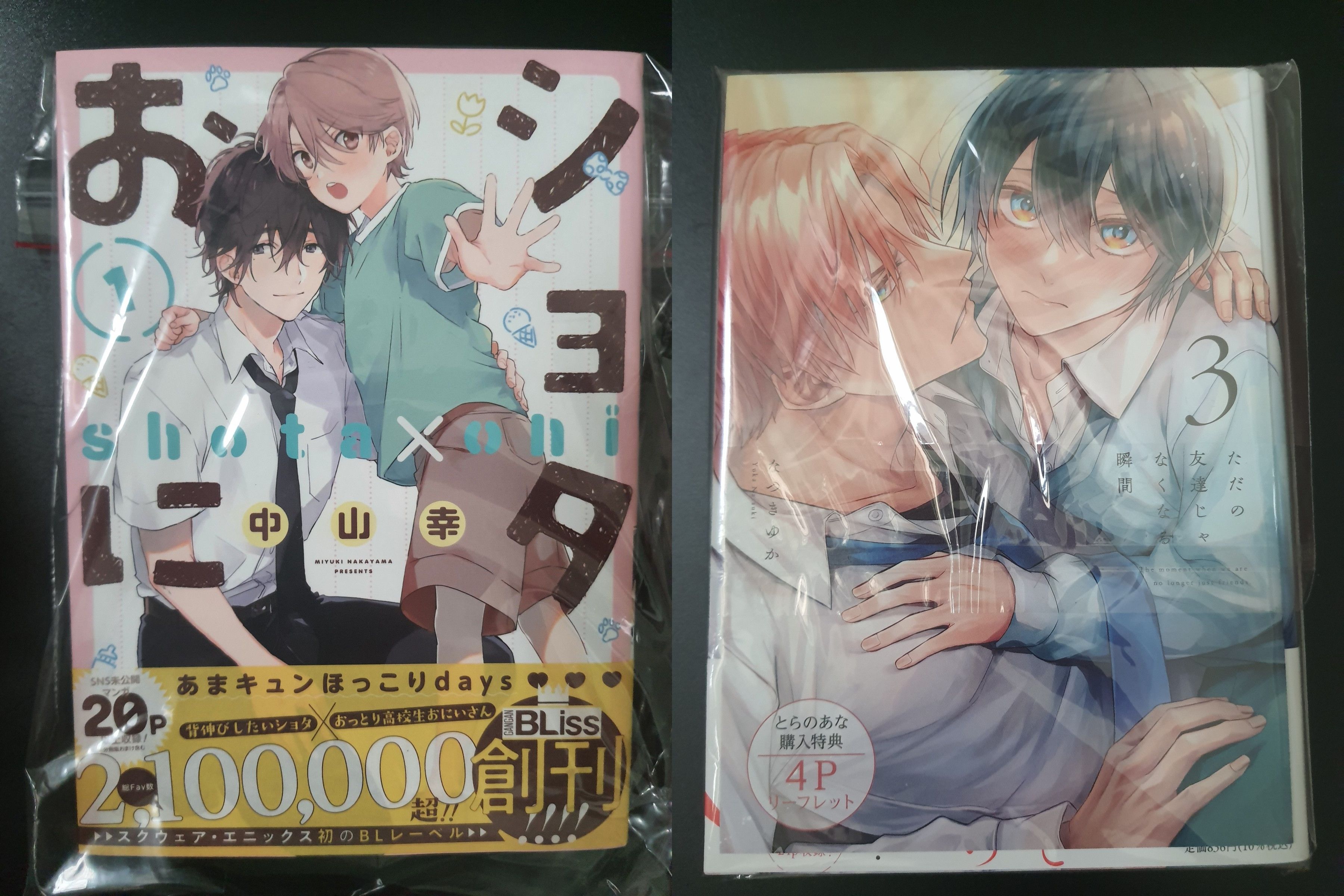 日文漫畫含接近A4大小特典