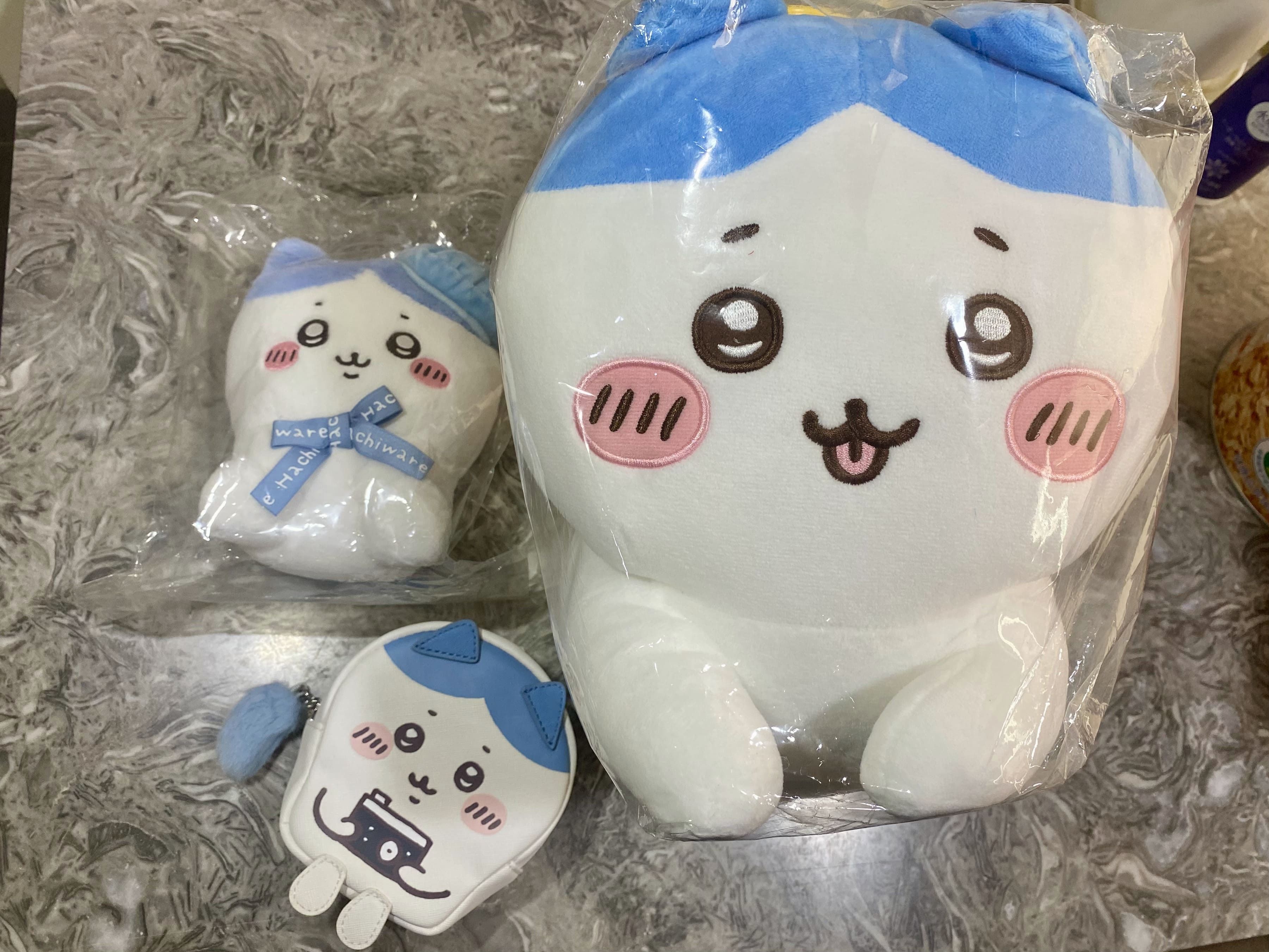 💕斯芬克斯小八