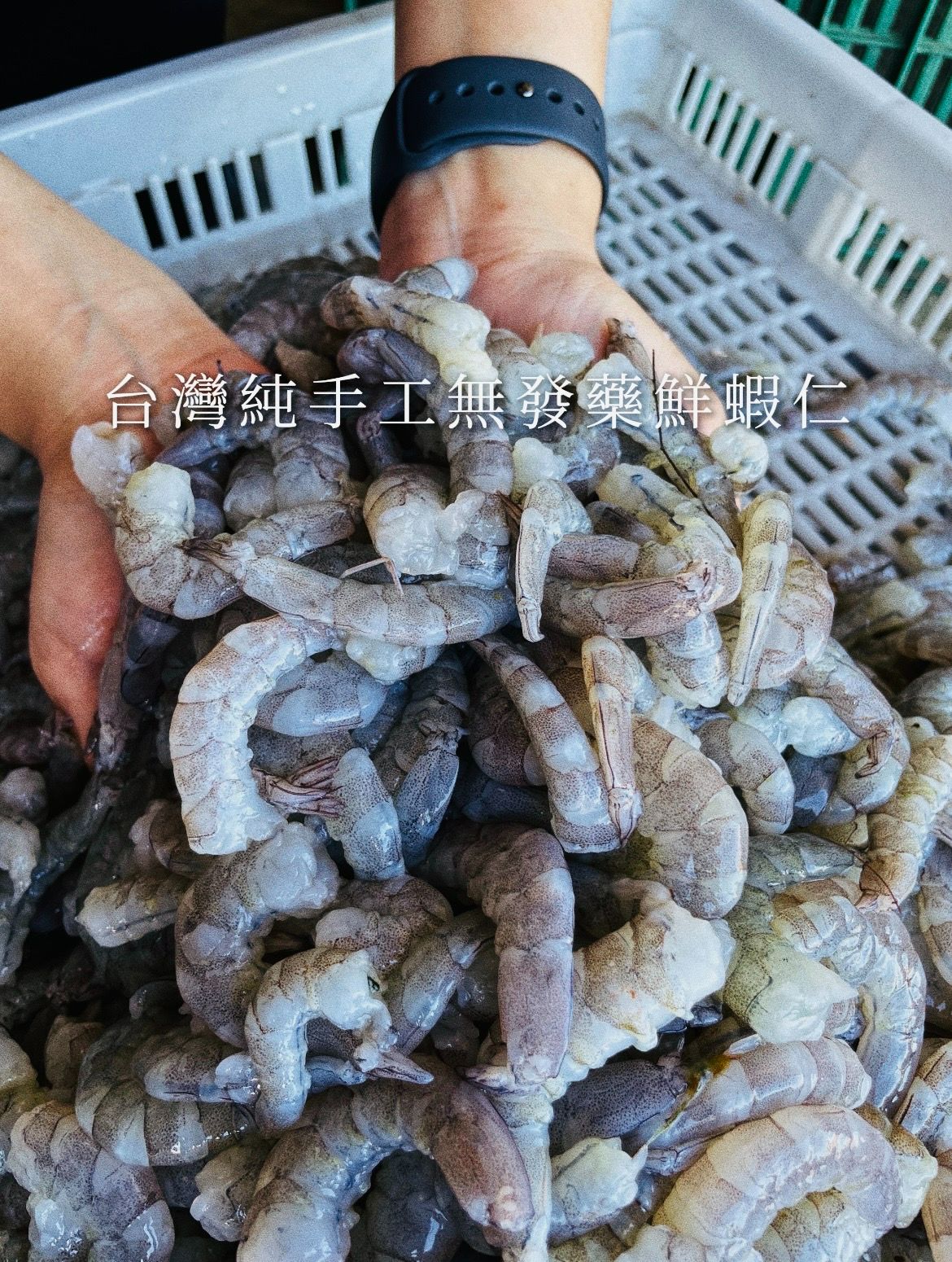 台灣純手工無發藥蝦仁（預購制）