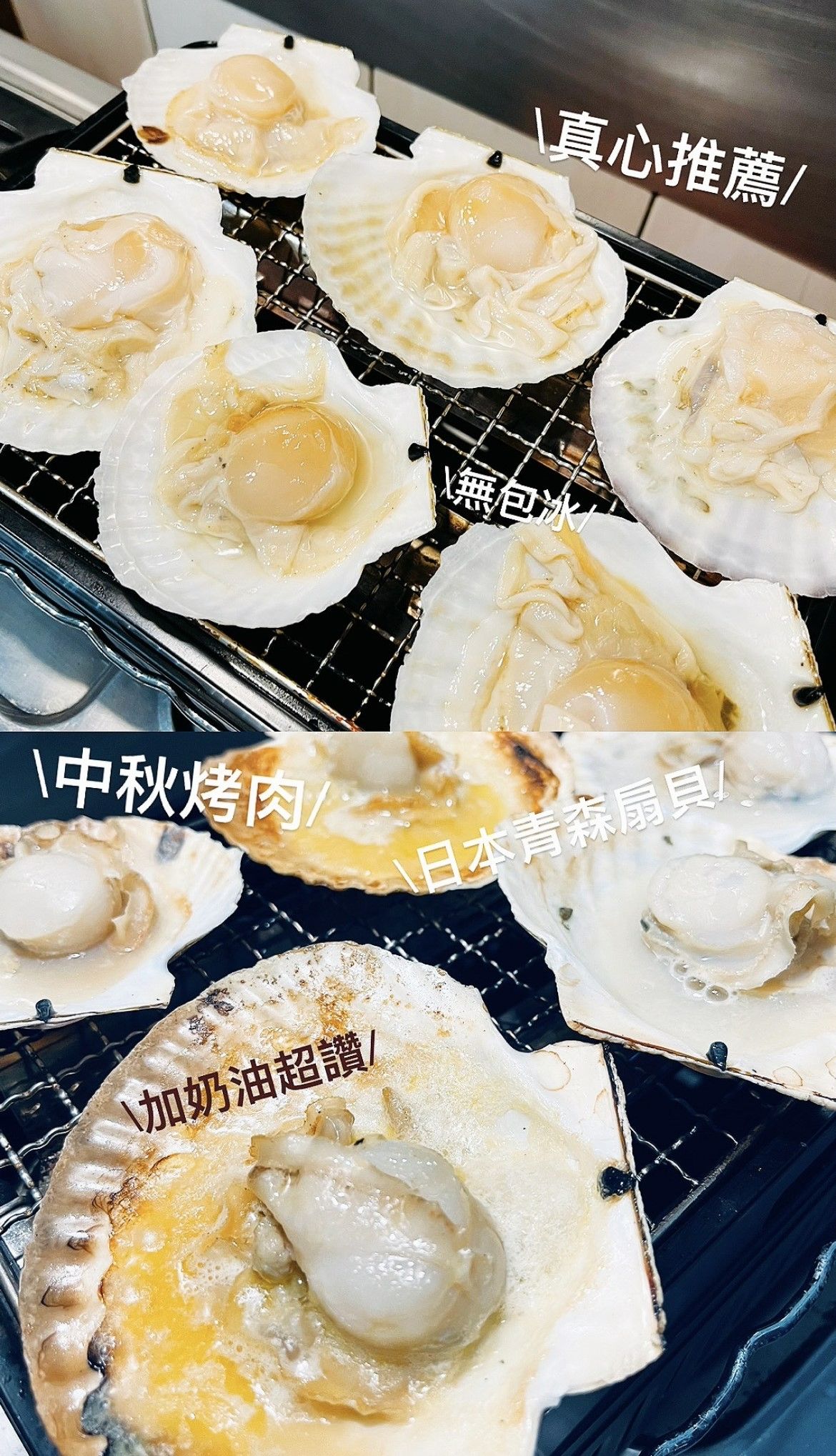 日本青森扇貝（預購制）