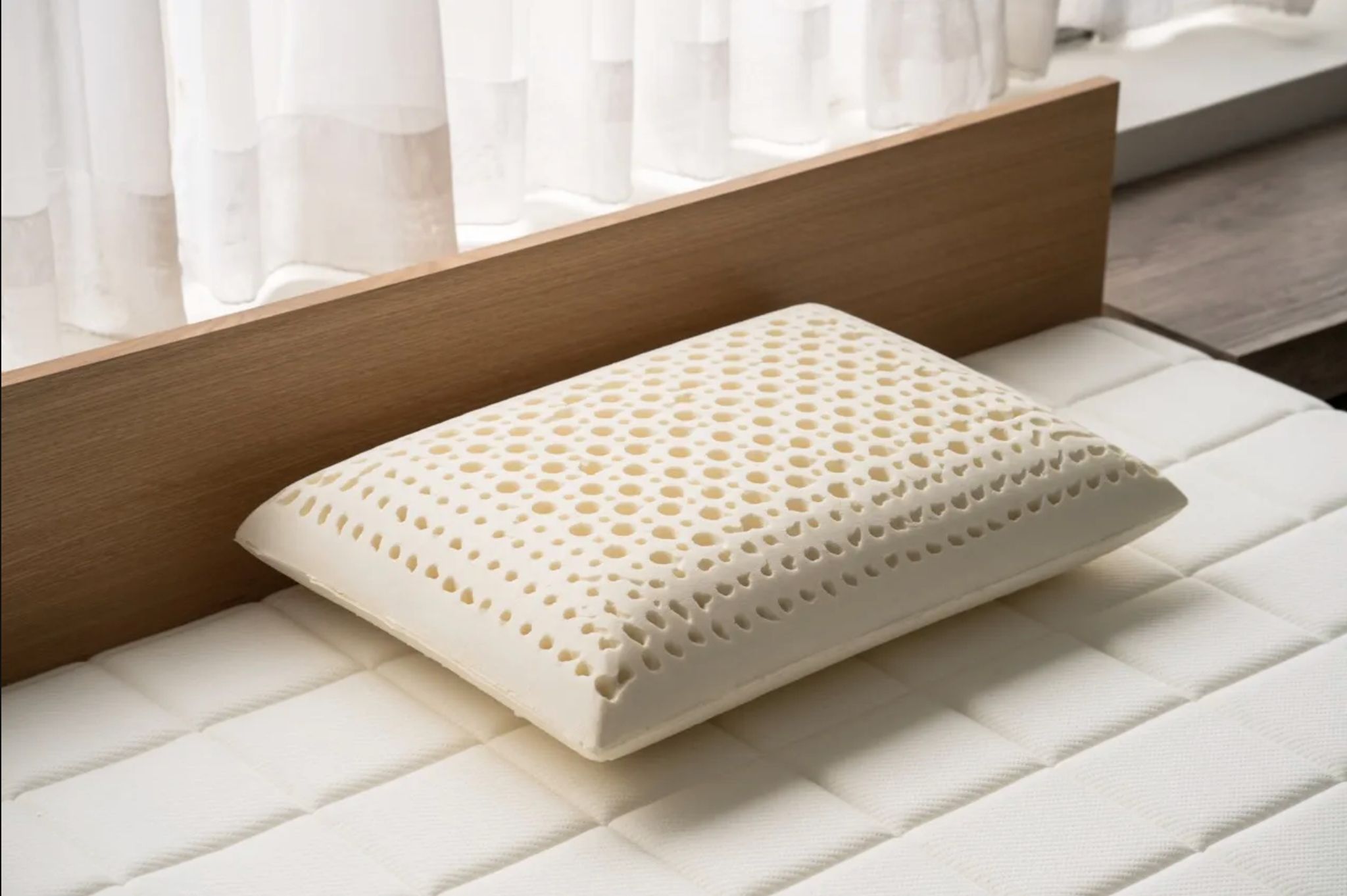 4/7 出貨  眠豆腐乳膠枕｜麵包型（價格已含運）可下單 到貨寄出