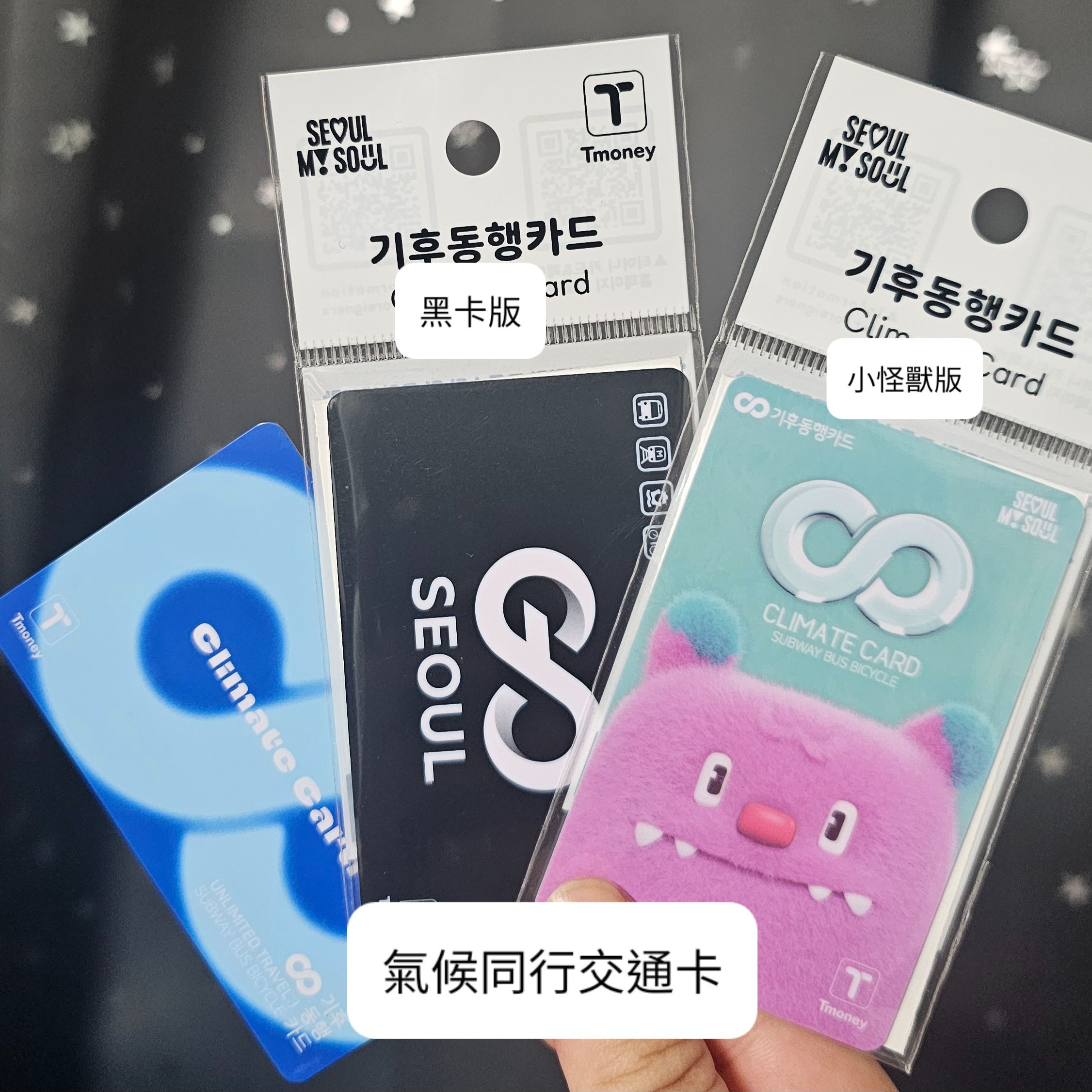 [F.H] 氣候同行交通卡
