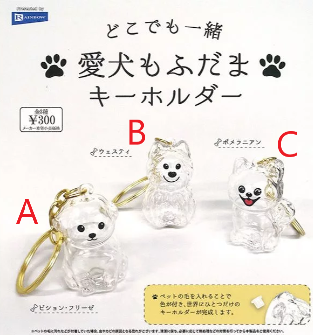 維尼布丁小舖🍮《RAINBOW扭蛋》愛犬狗毛透明吊飾