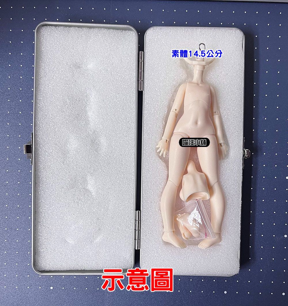 【喵汪小舖】【現貨】收納盒／鋁盒／12分／素體／22024103101