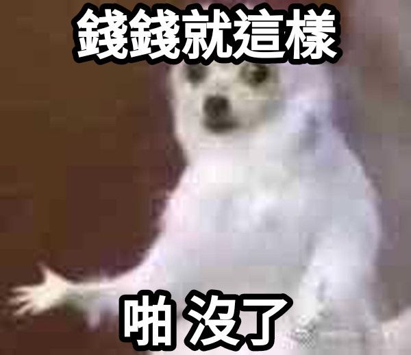 20公分專用