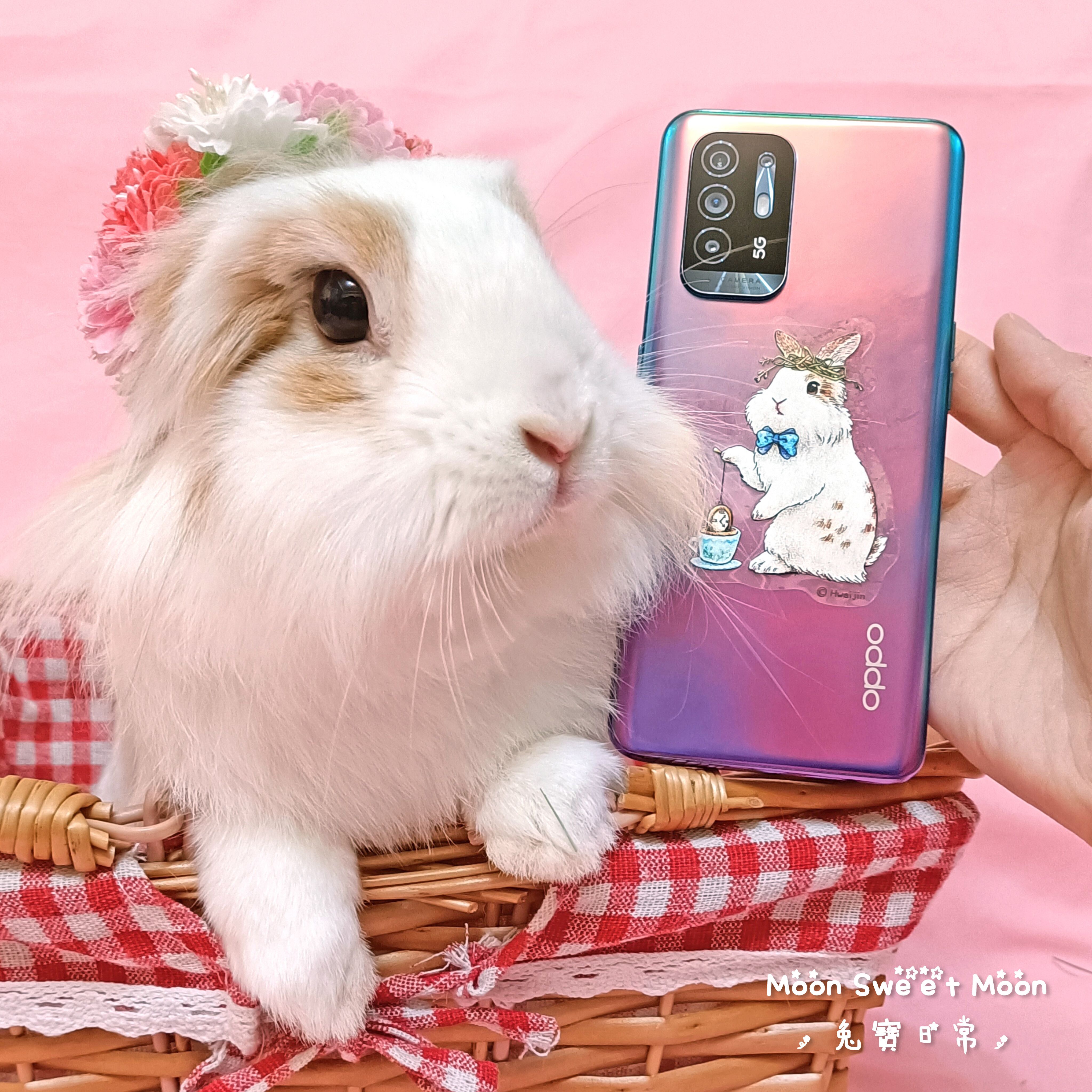 🐰小Moon ＆ 🐹Hamu手機靜電貼