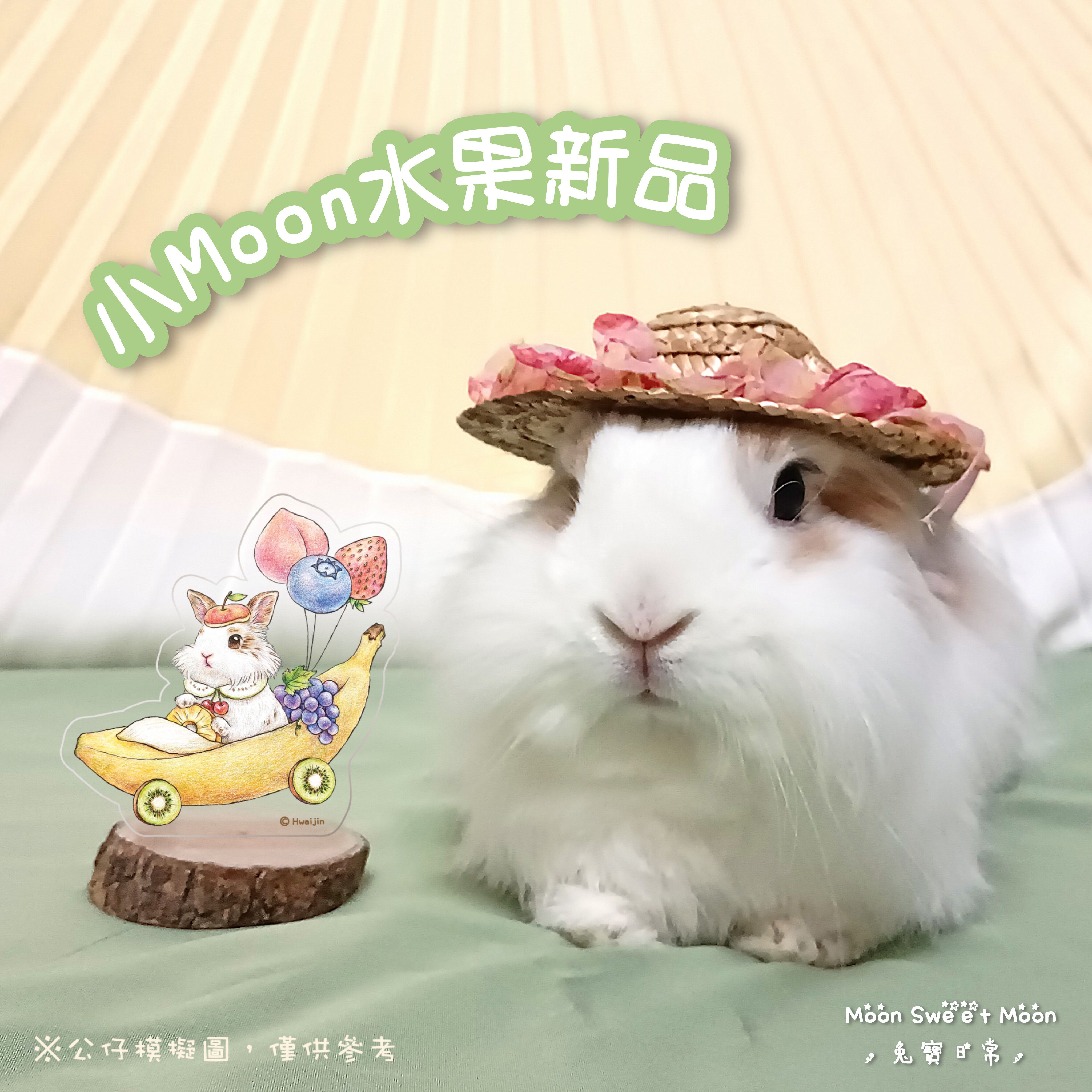 🐰小Moon🍎水果壓克力鑰匙圈 ＆公仔