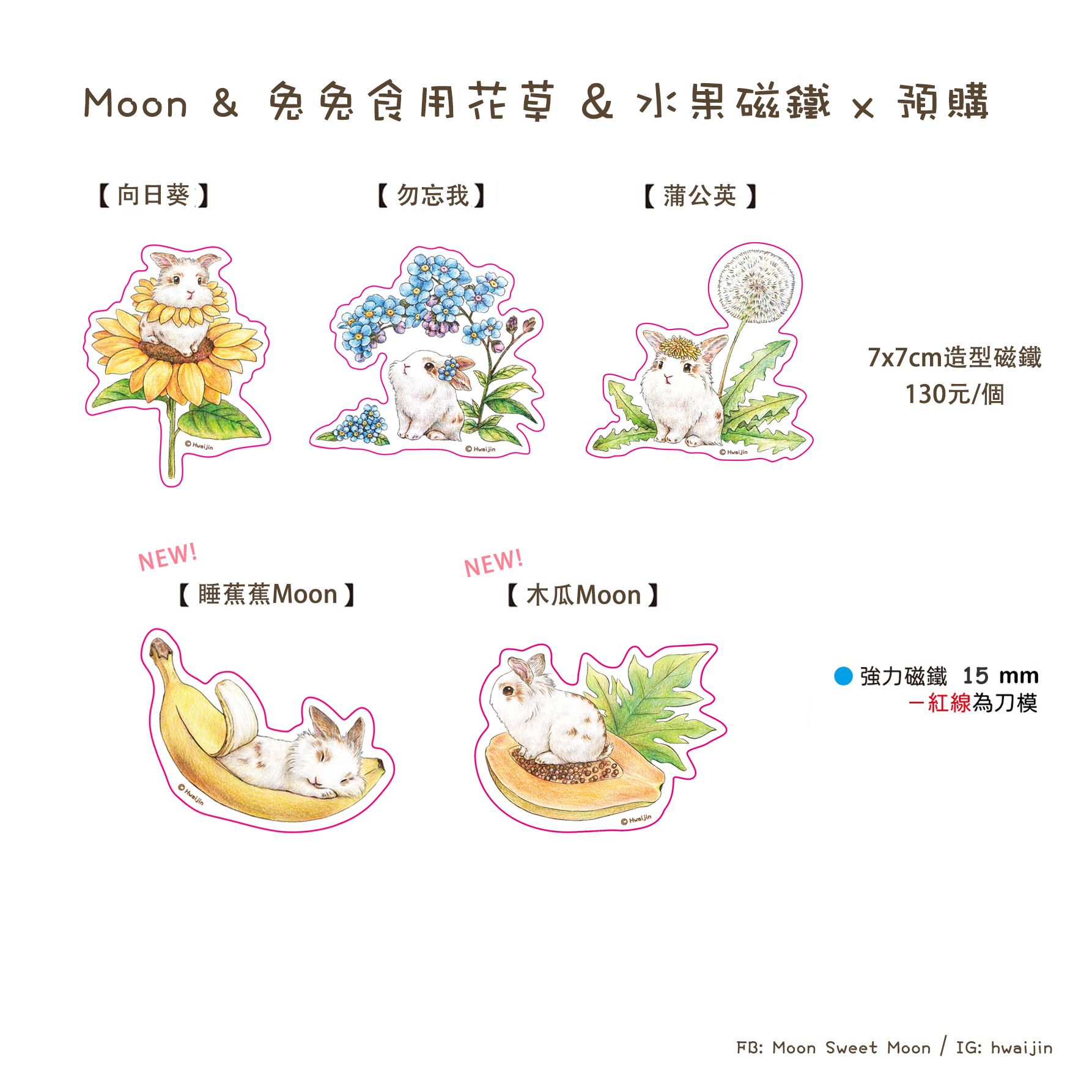 【新版耐刮】🐰小Moon 仿柯造型磁鐵（單入）