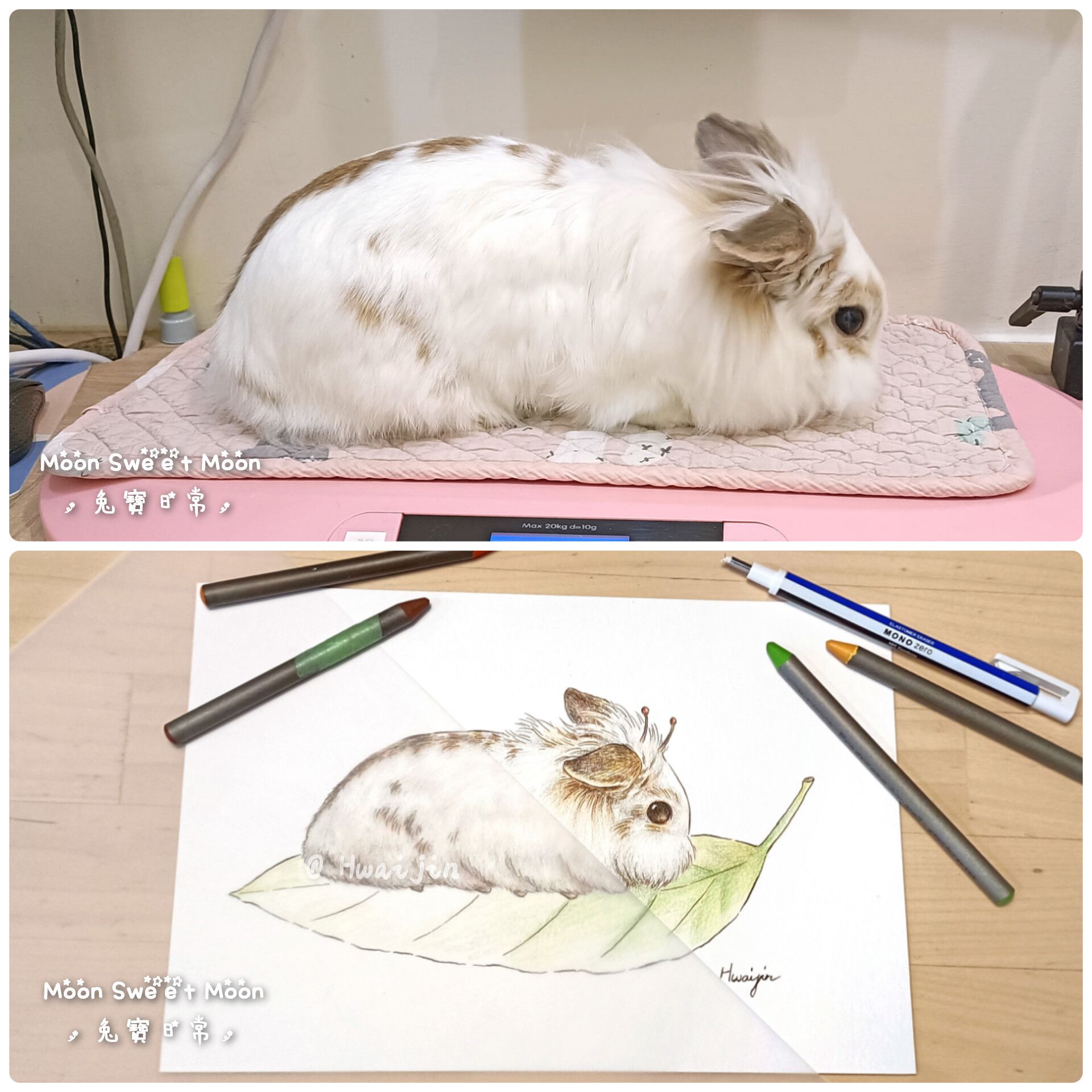 【限量】2026 小Moon天馬行空明信片＆聖誕合唱團