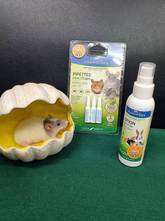 法典 小動物蟲蟲終結者