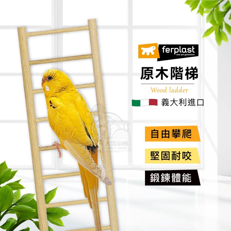 【義大利飛寶Ferplast】玩具用品