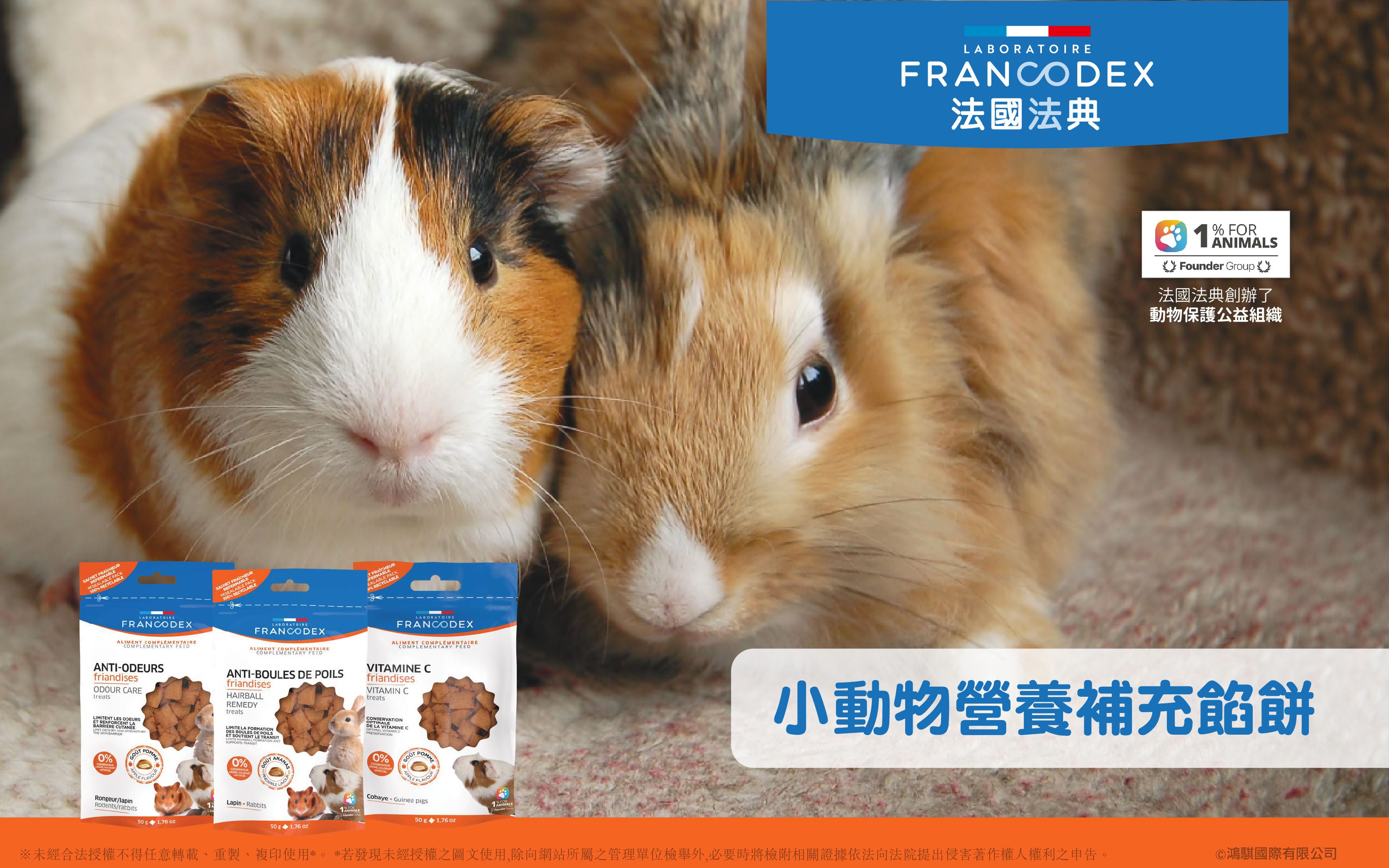 法國法典 小動物每日餡餅