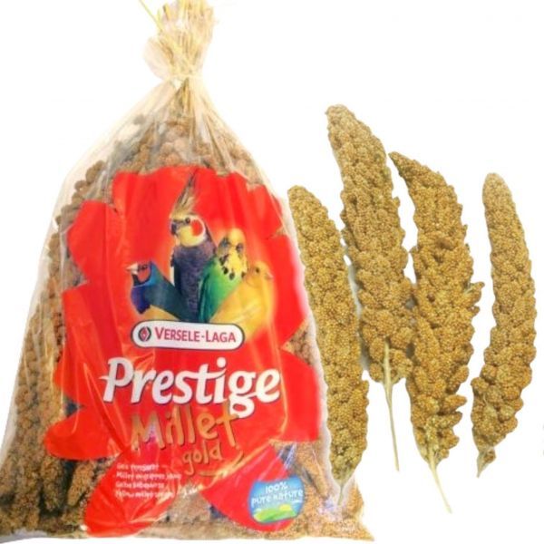 比利時凡賽爾 粟米穗