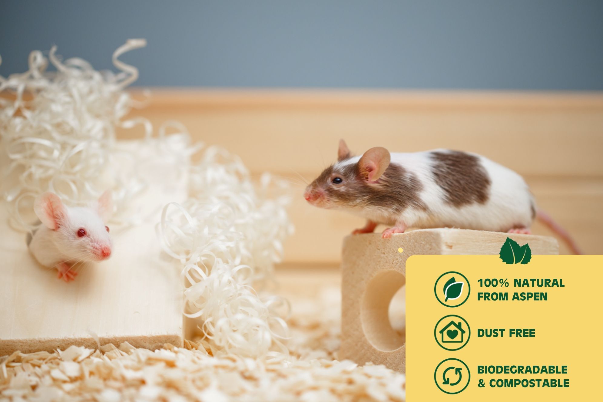 美麗多白楊木質墊材